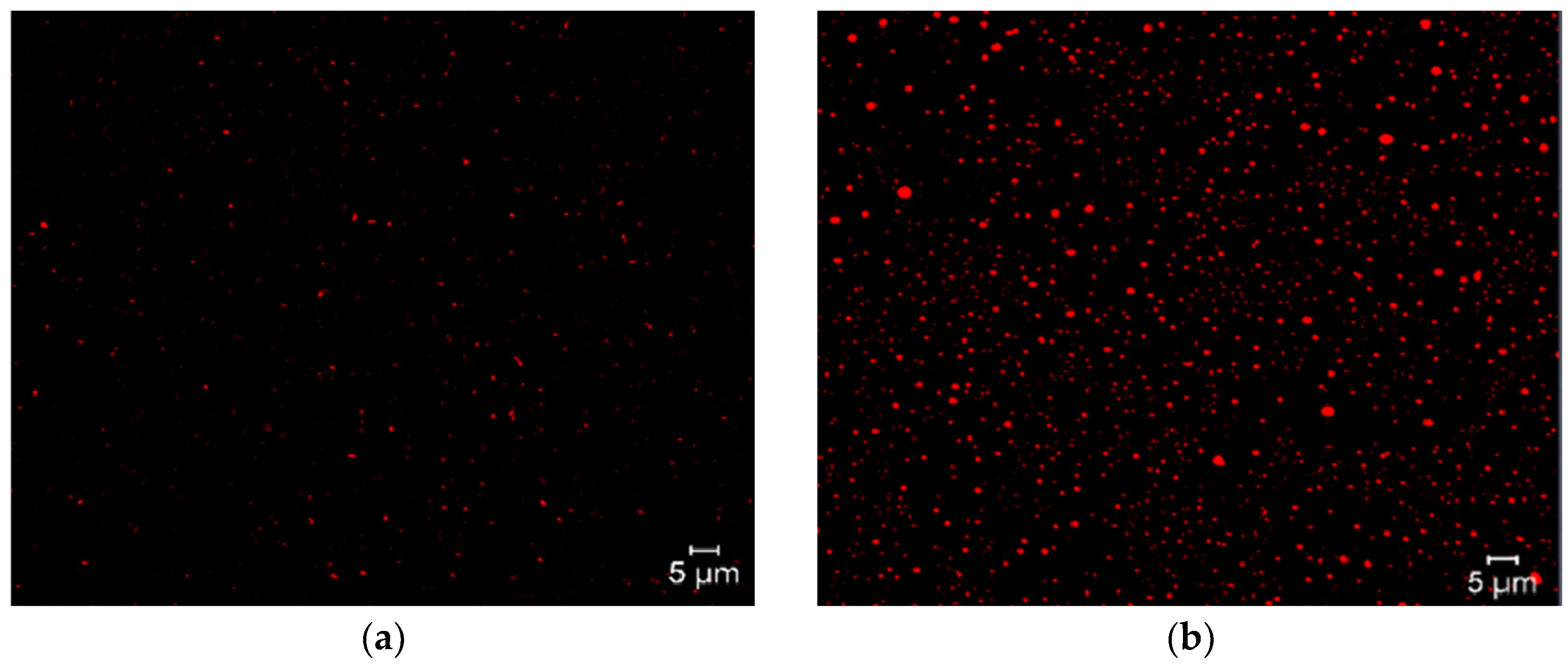 Molecules 30 03467 g005