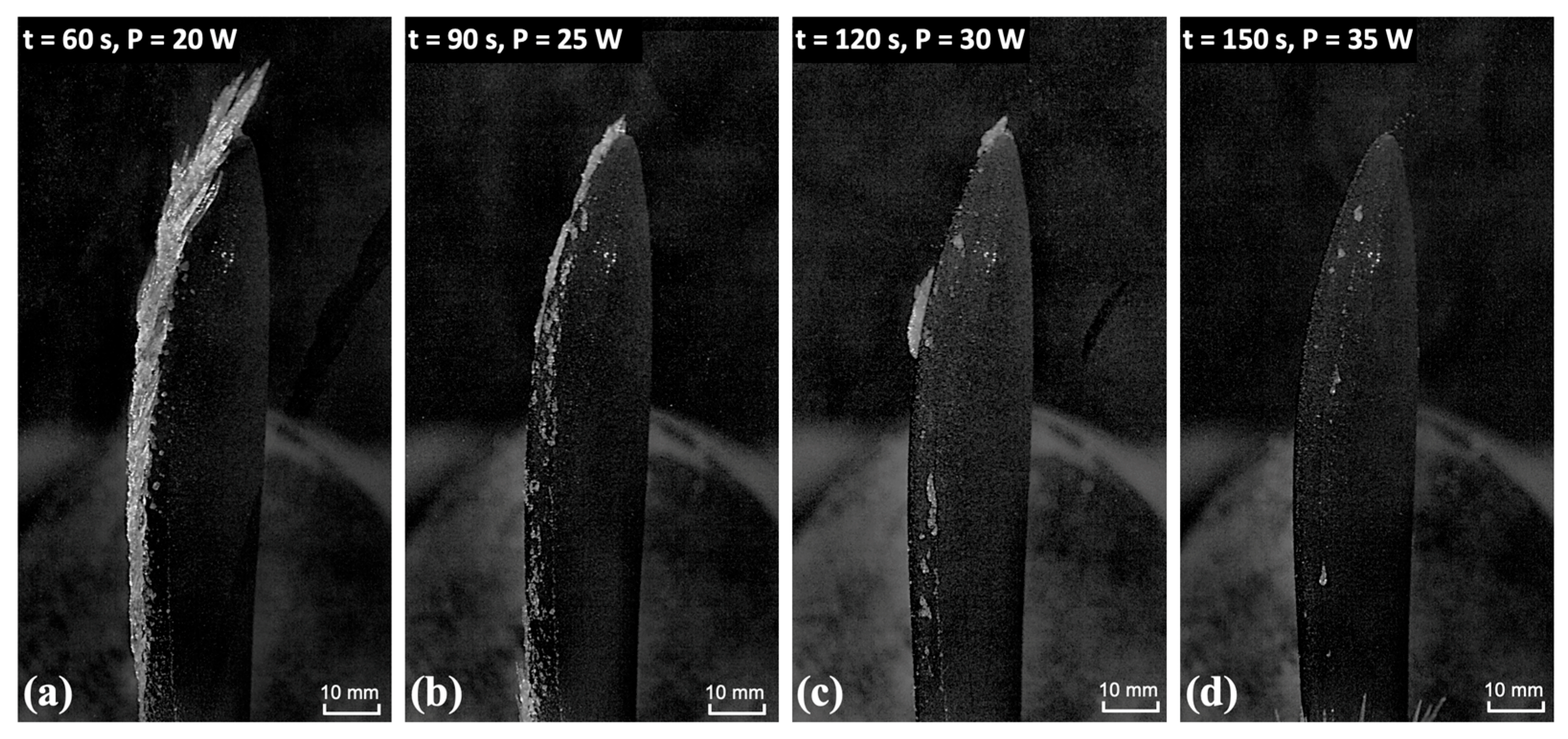 Molecules 30 03472 g003 Molecules 30 03472 g003