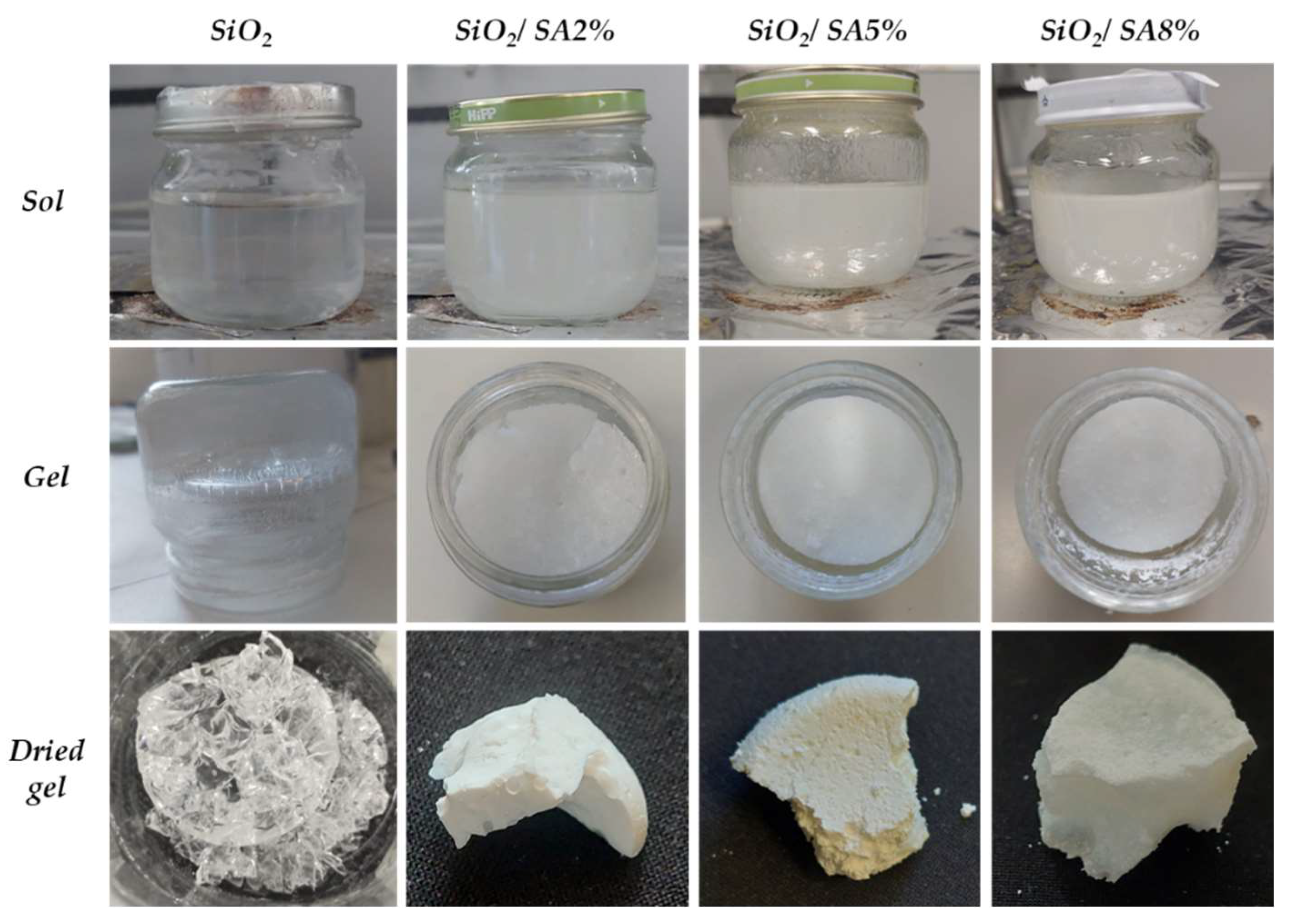 Molecules 30 03481 g001 Molecules 30 03481 g001