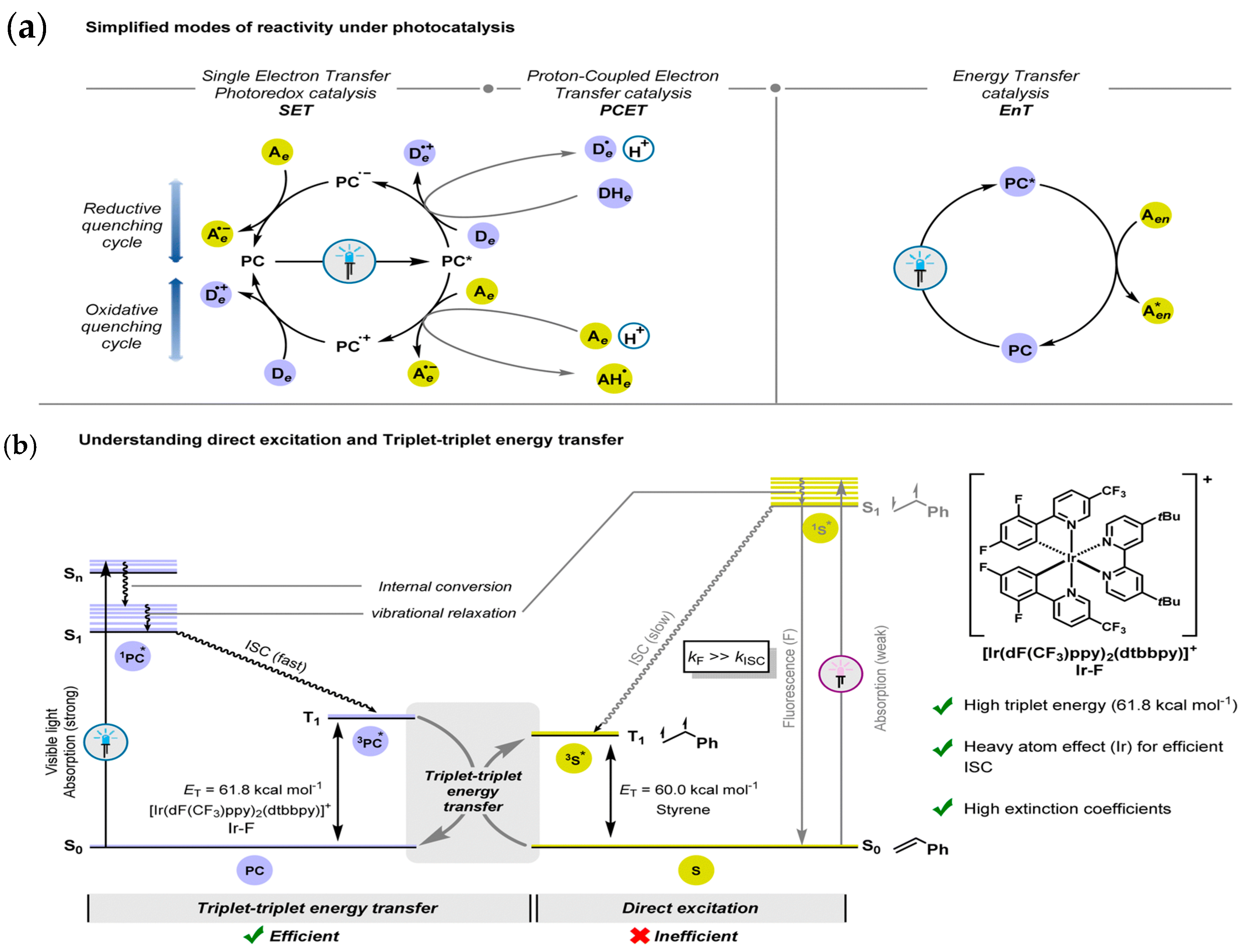 Molecules 30 03490 g002 Molecules 30 03490 g002