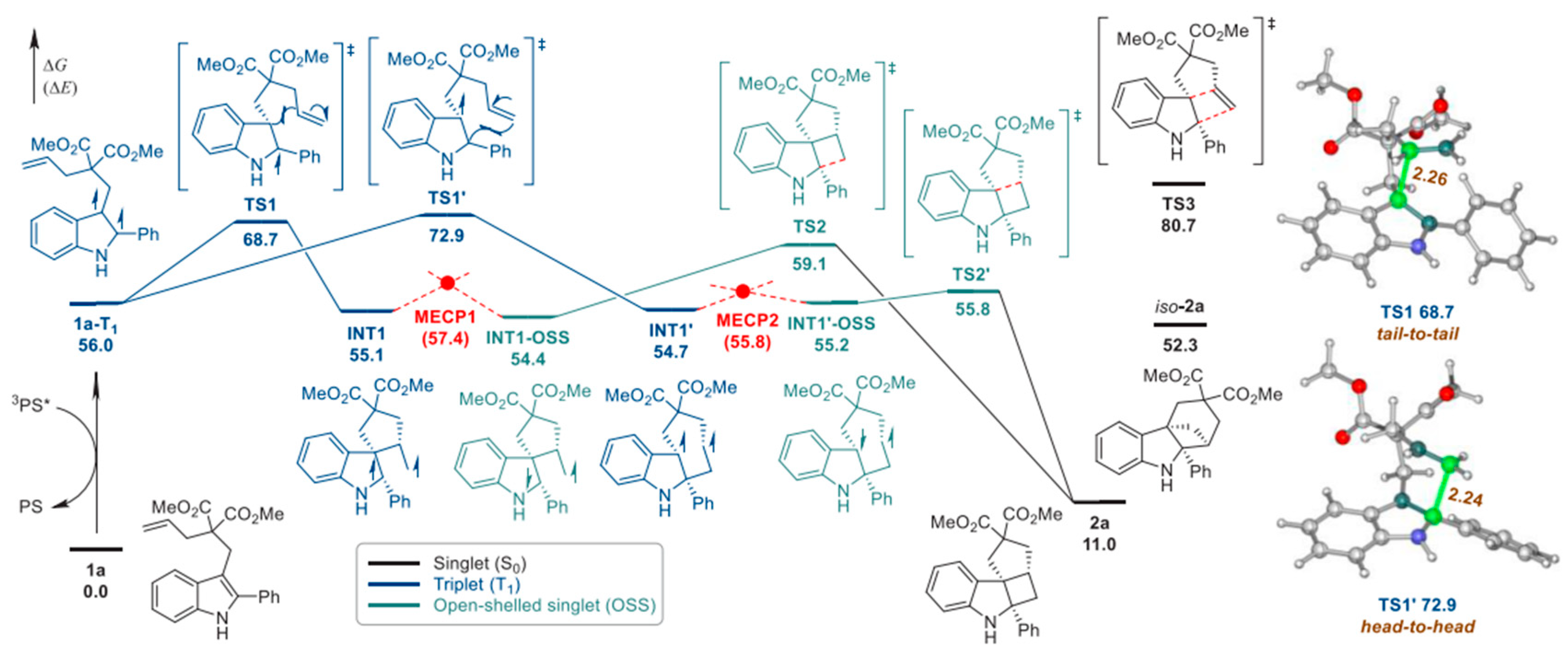 Molecules 30 03490 g011 Molecules 30 03490 g011