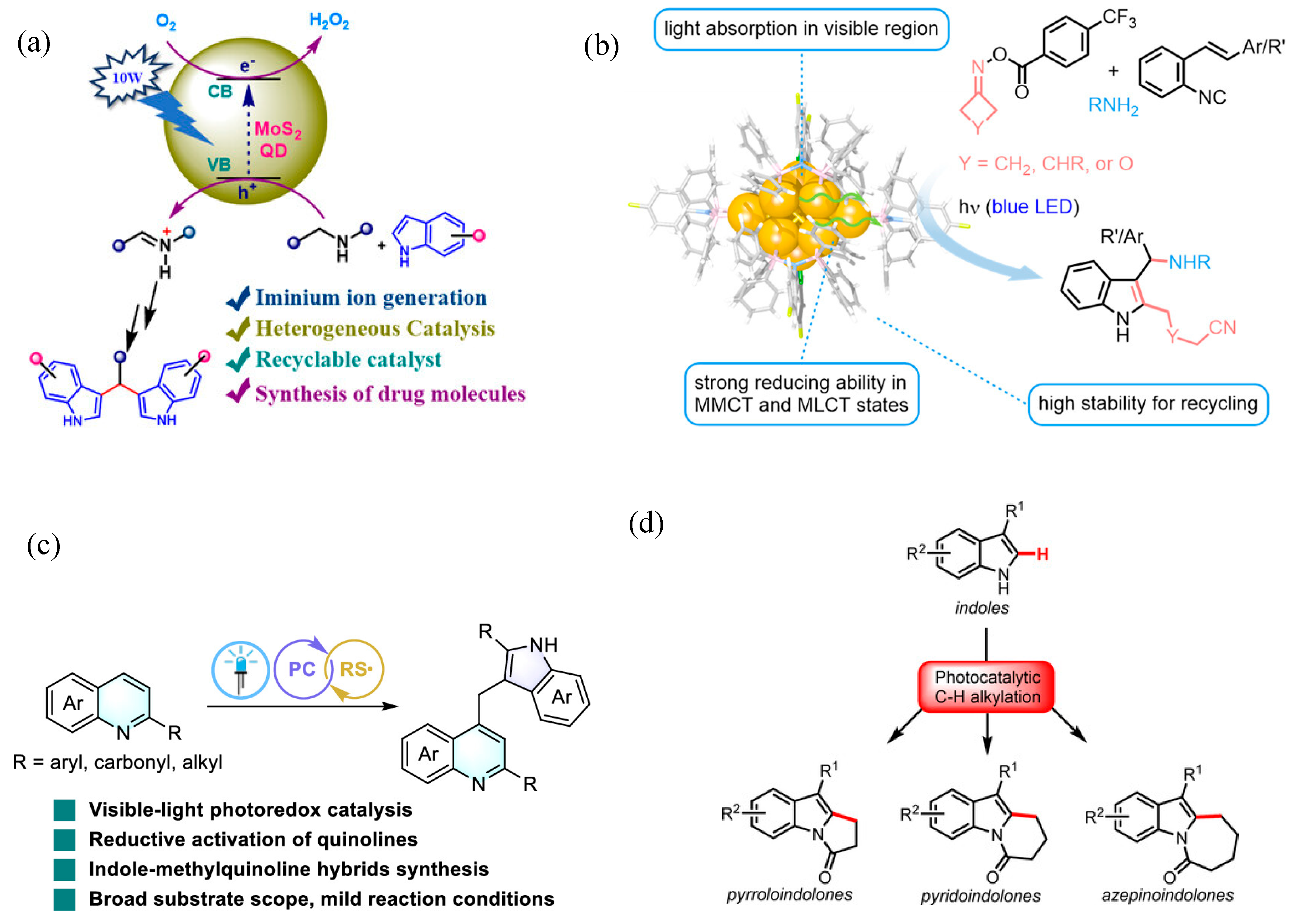 Molecules 30 03490 g012 Molecules 30 03490 g012