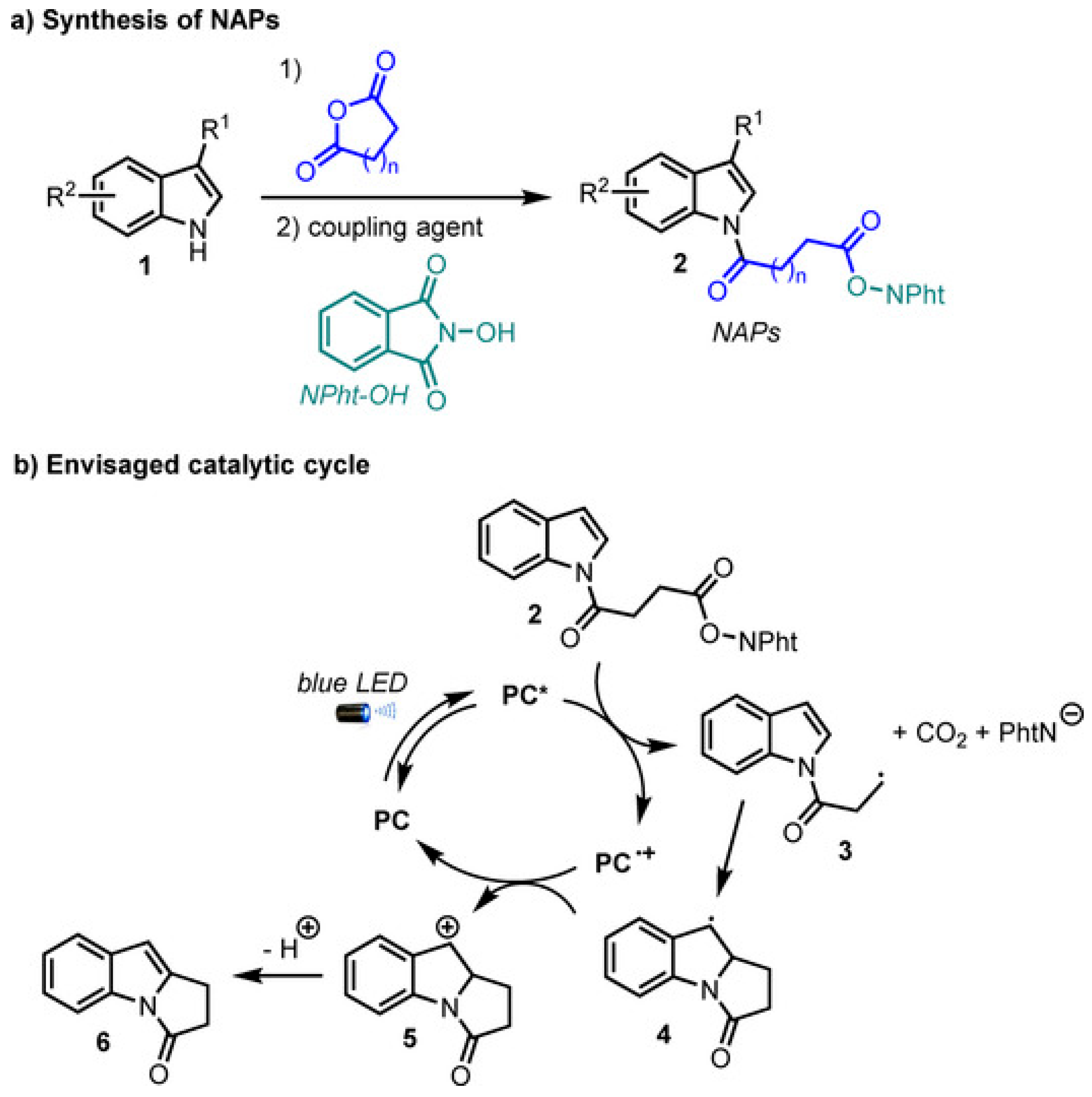 Molecules 30 03490 g013 Molecules 30 03490 g013