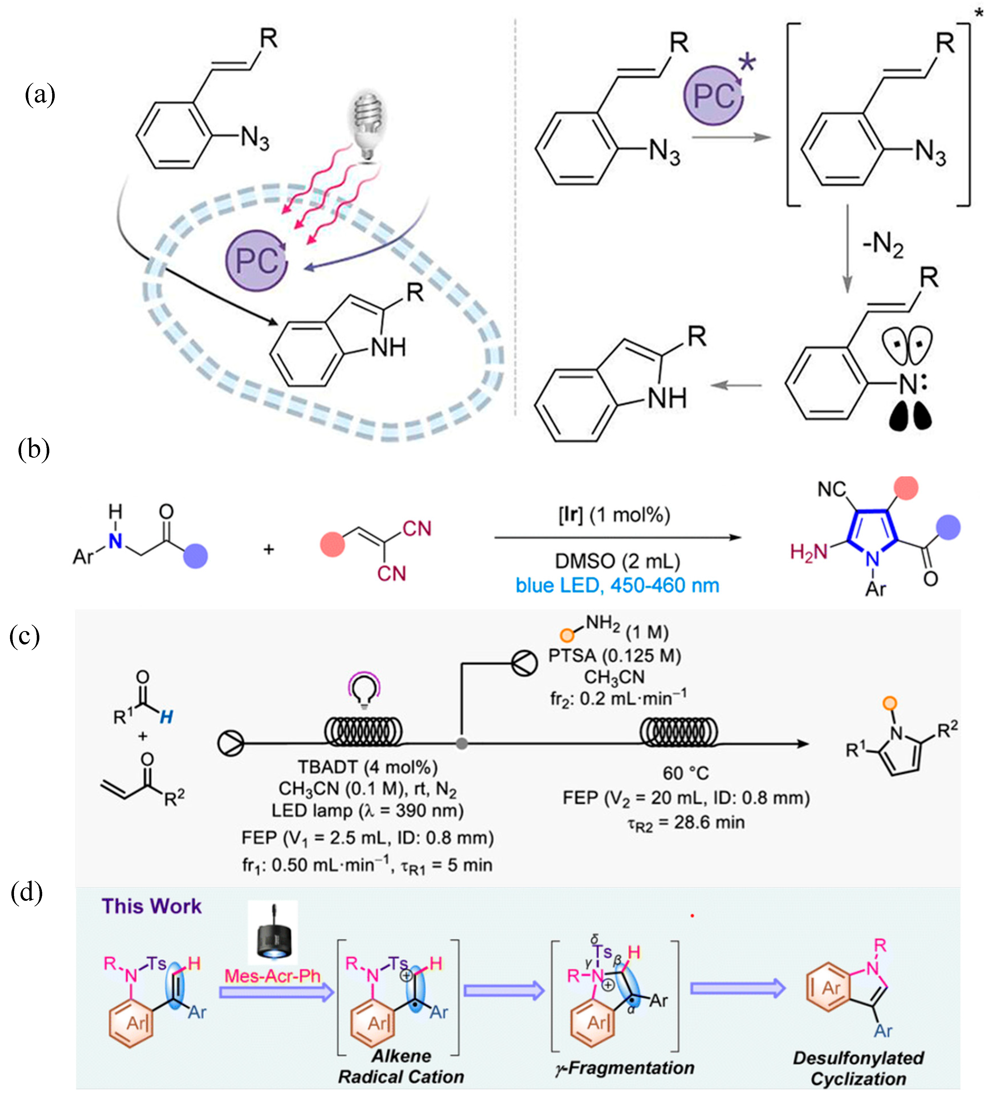 Molecules 30 03490 g016 Molecules 30 03490 g016