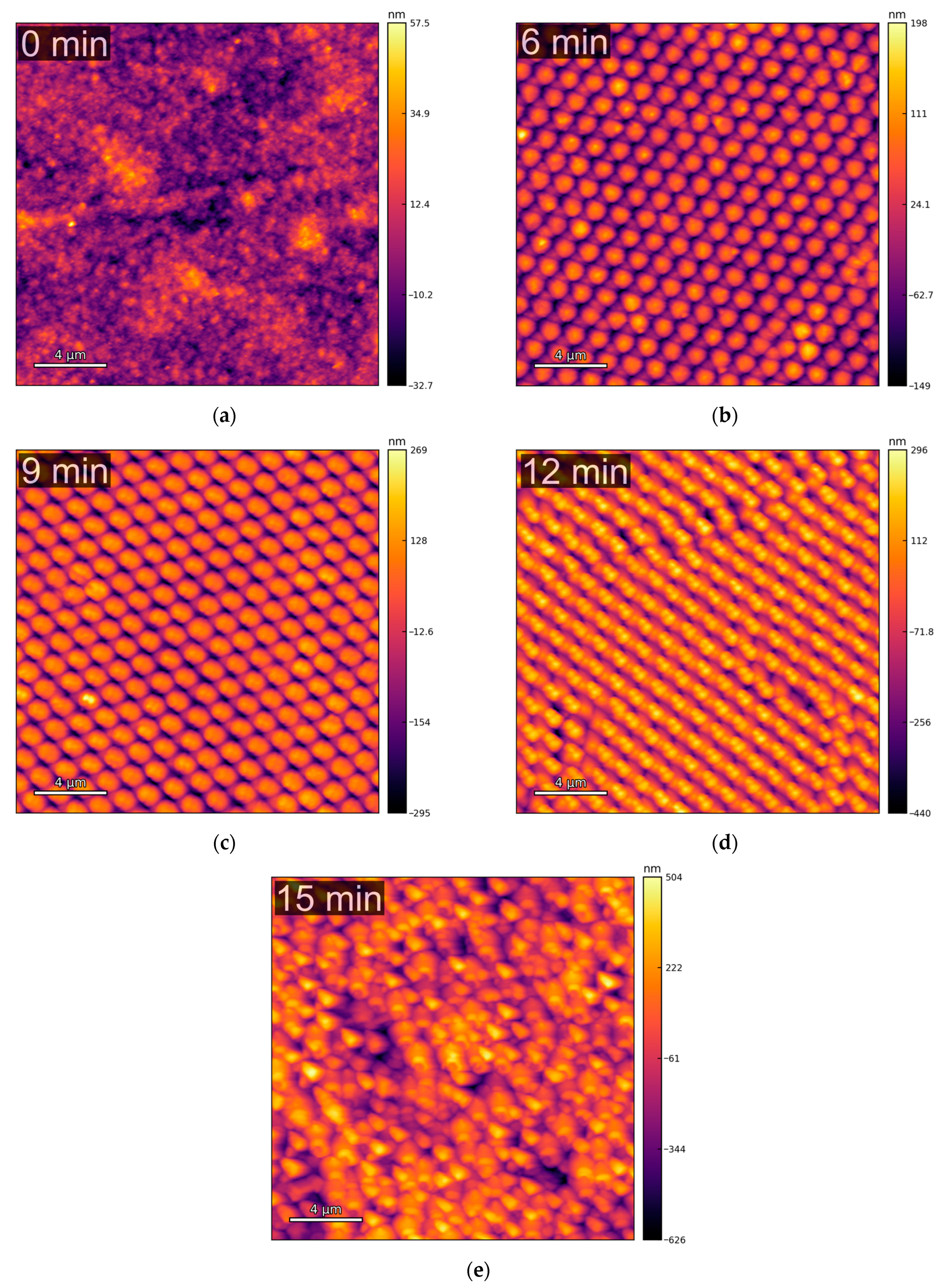 Molecules 30 03493 g001 Molecules 30 03493 g001