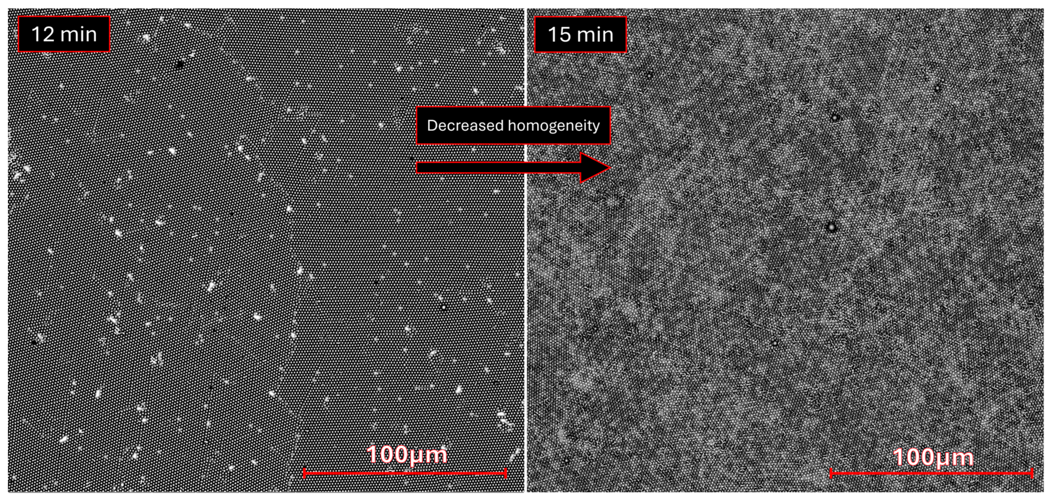 Molecules 30 03493 g004 Molecules 30 03493 g004