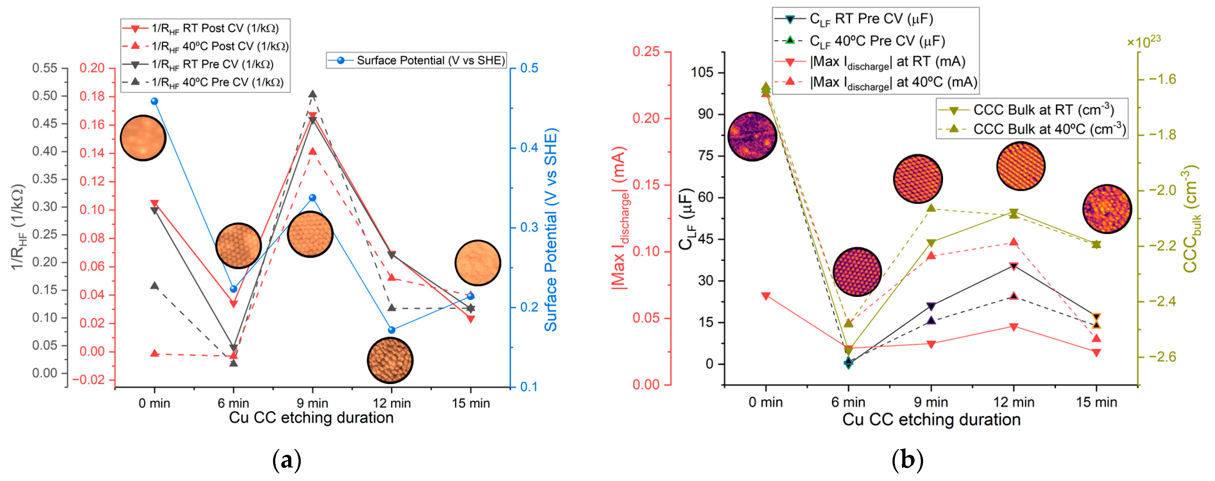 Molecules 30 03493 g014 Molecules 30 03493 g014