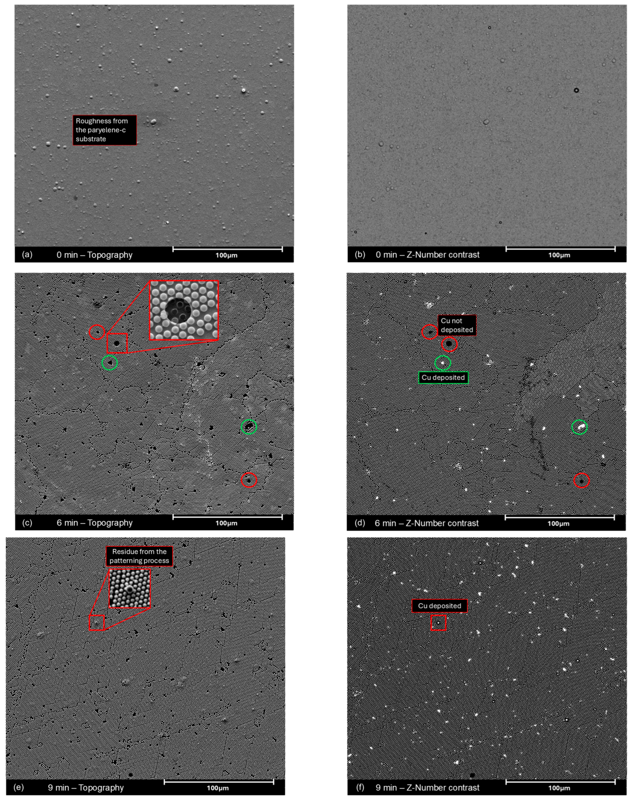 Molecules 30 03493 g0a6a Molecules 30 03493 g0a6a