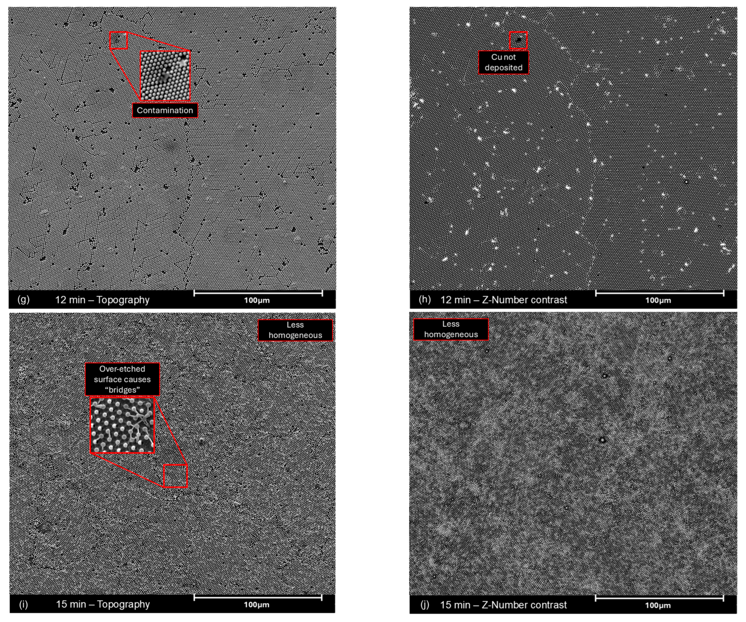 Molecules 30 03493 g0a6b Molecules 30 03493 g0a6b