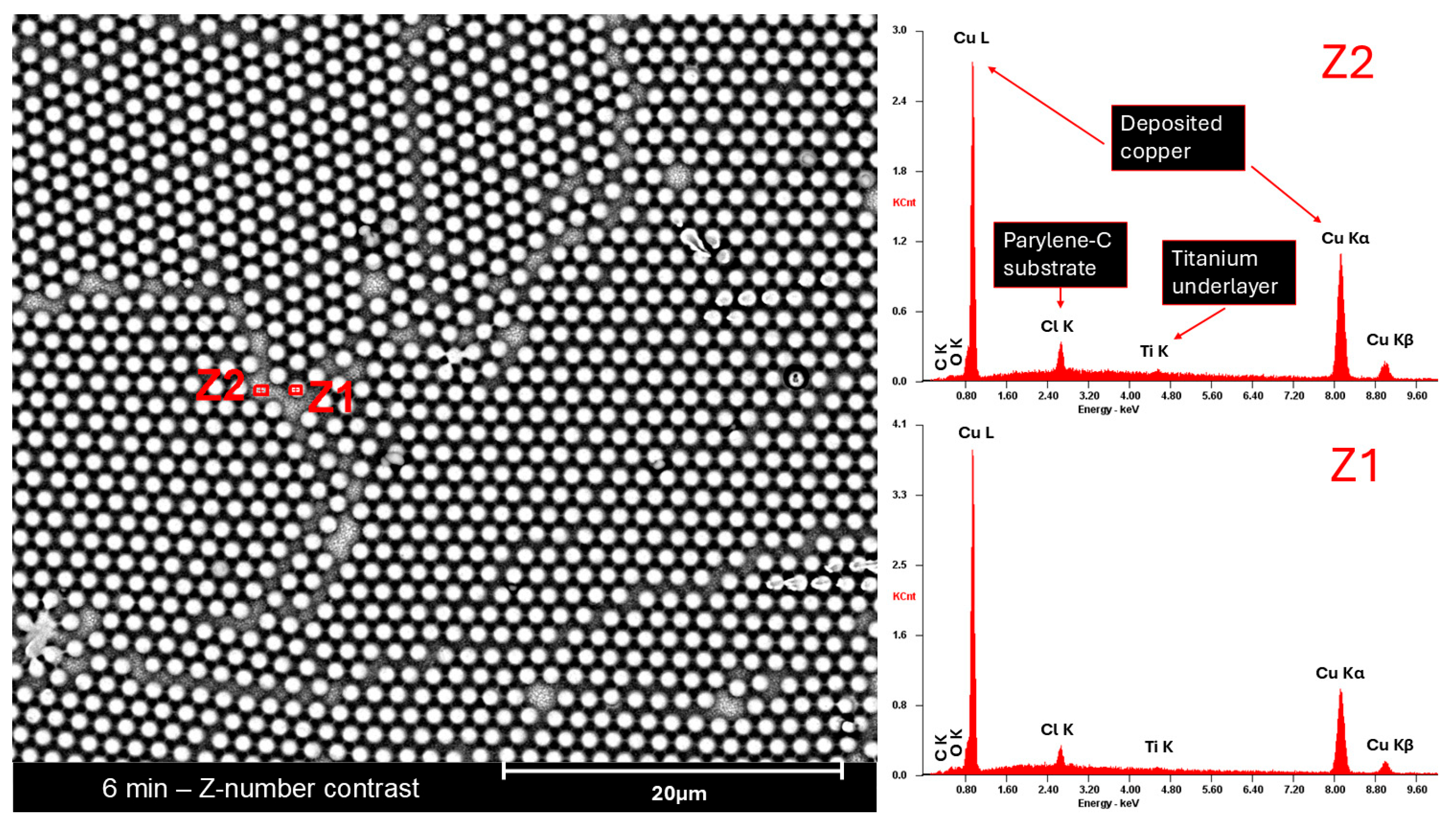 Molecules 30 03493 g0a7 Molecules 30 03493 g0a7