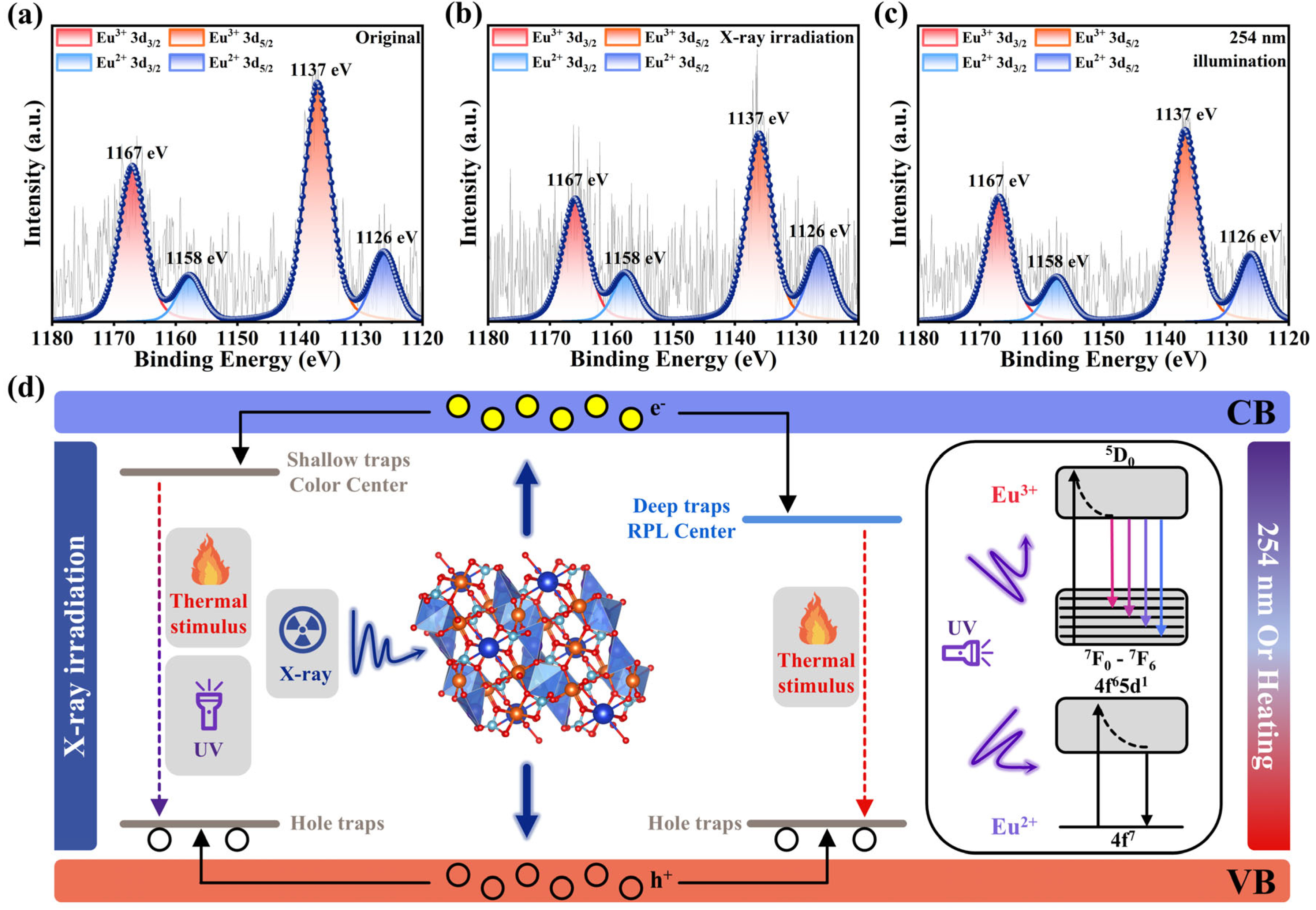 Molecules 30 03495 g004 Molecules 30 03495 g004