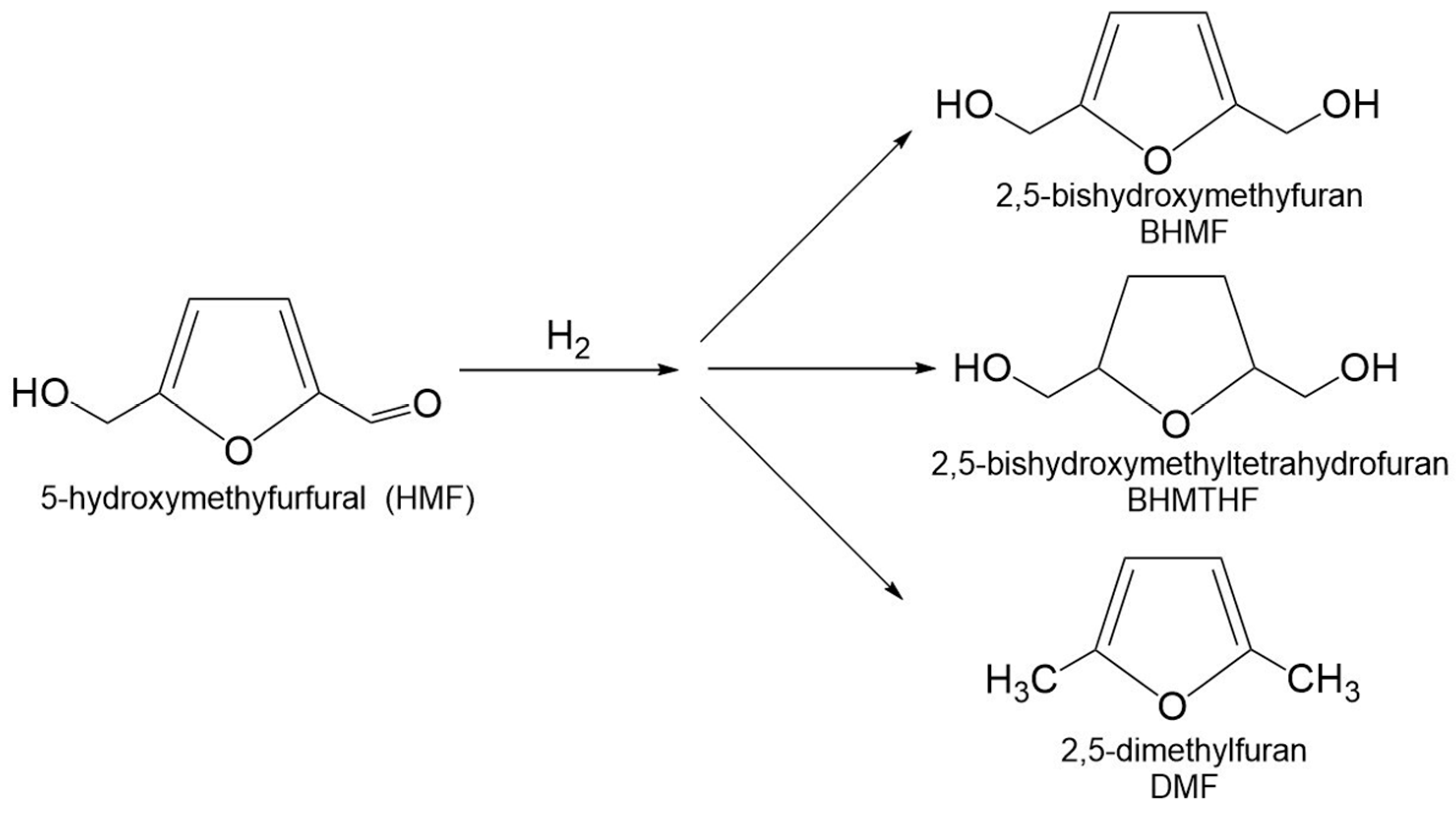Molecules 30 03498 g012 Molecules 30 03498 g012