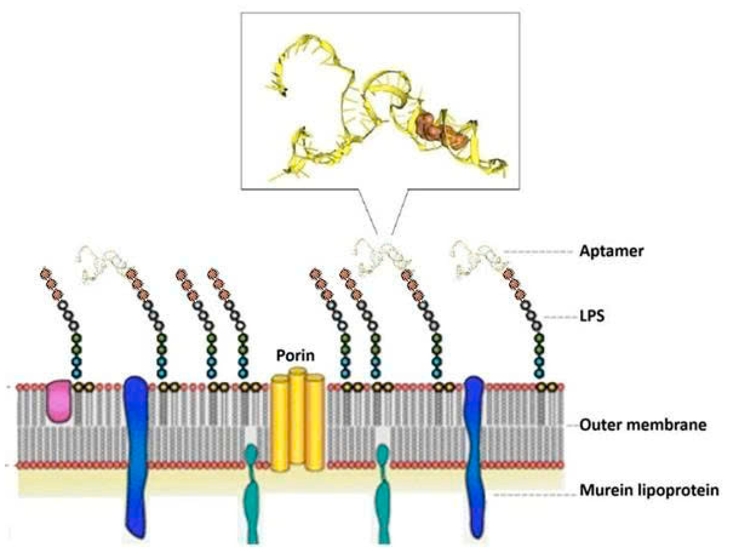 Molecules 30 03499 g004
