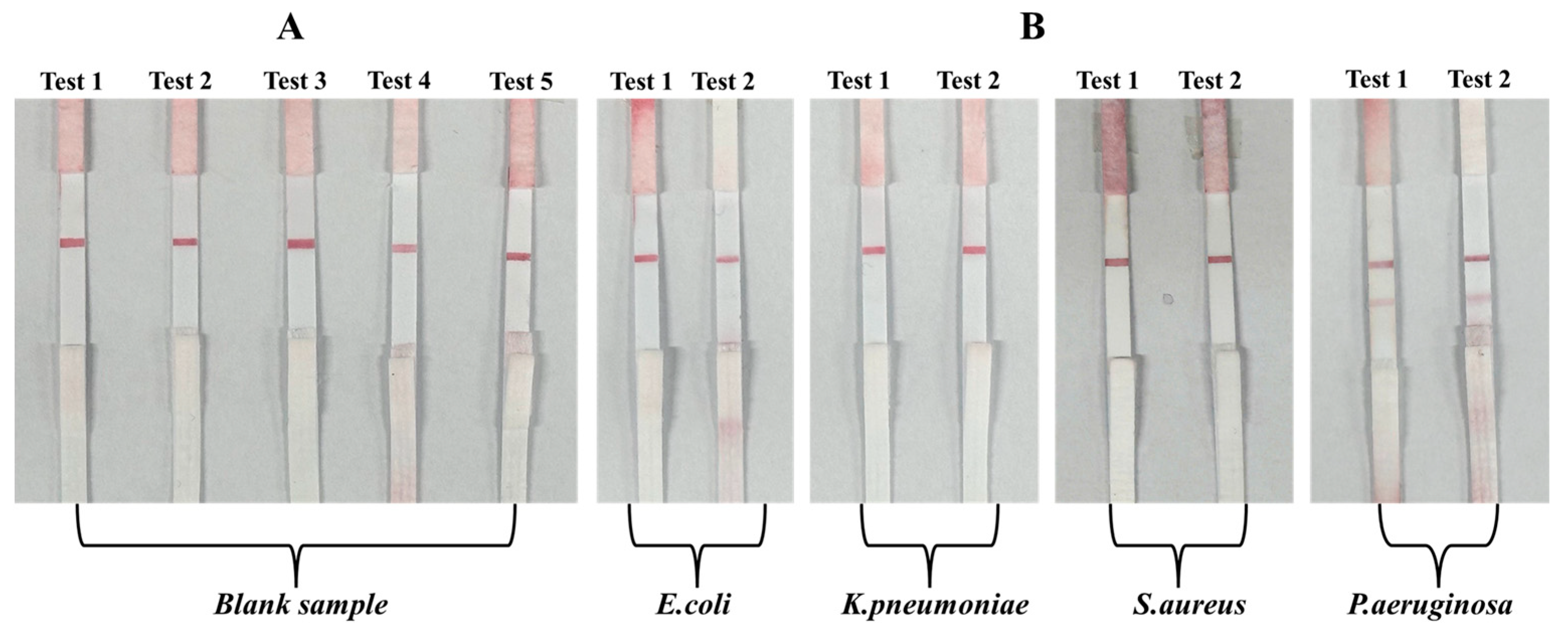 Molecules 30 03499 g008