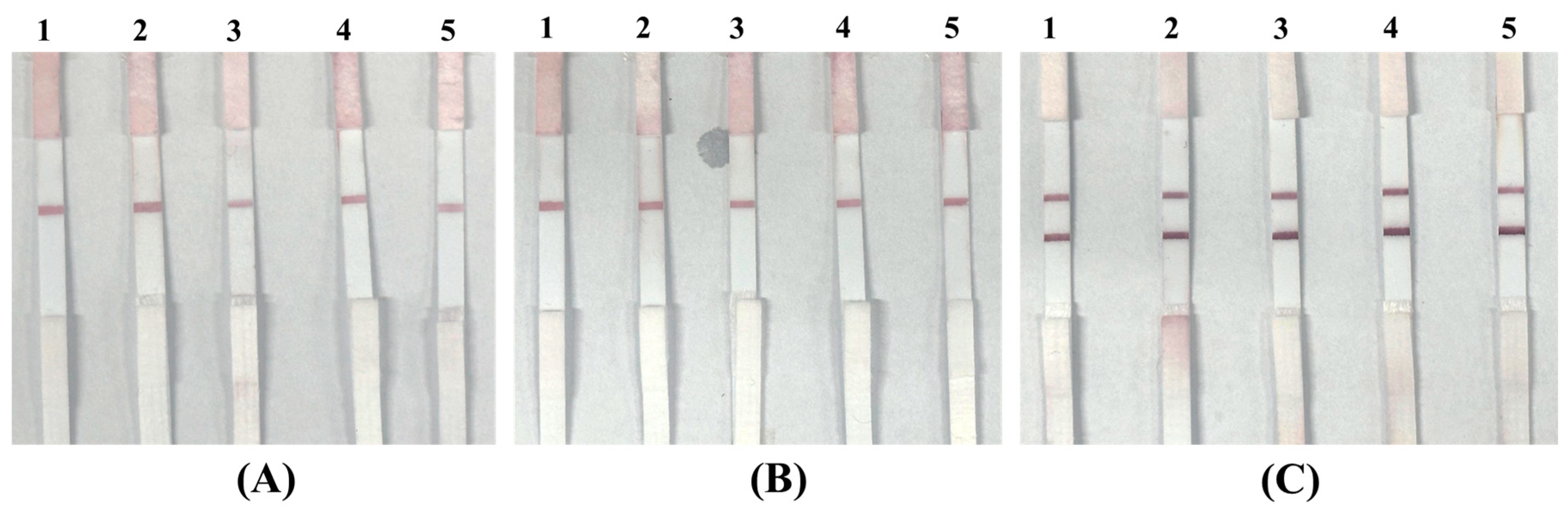 Molecules 30 03499 g011