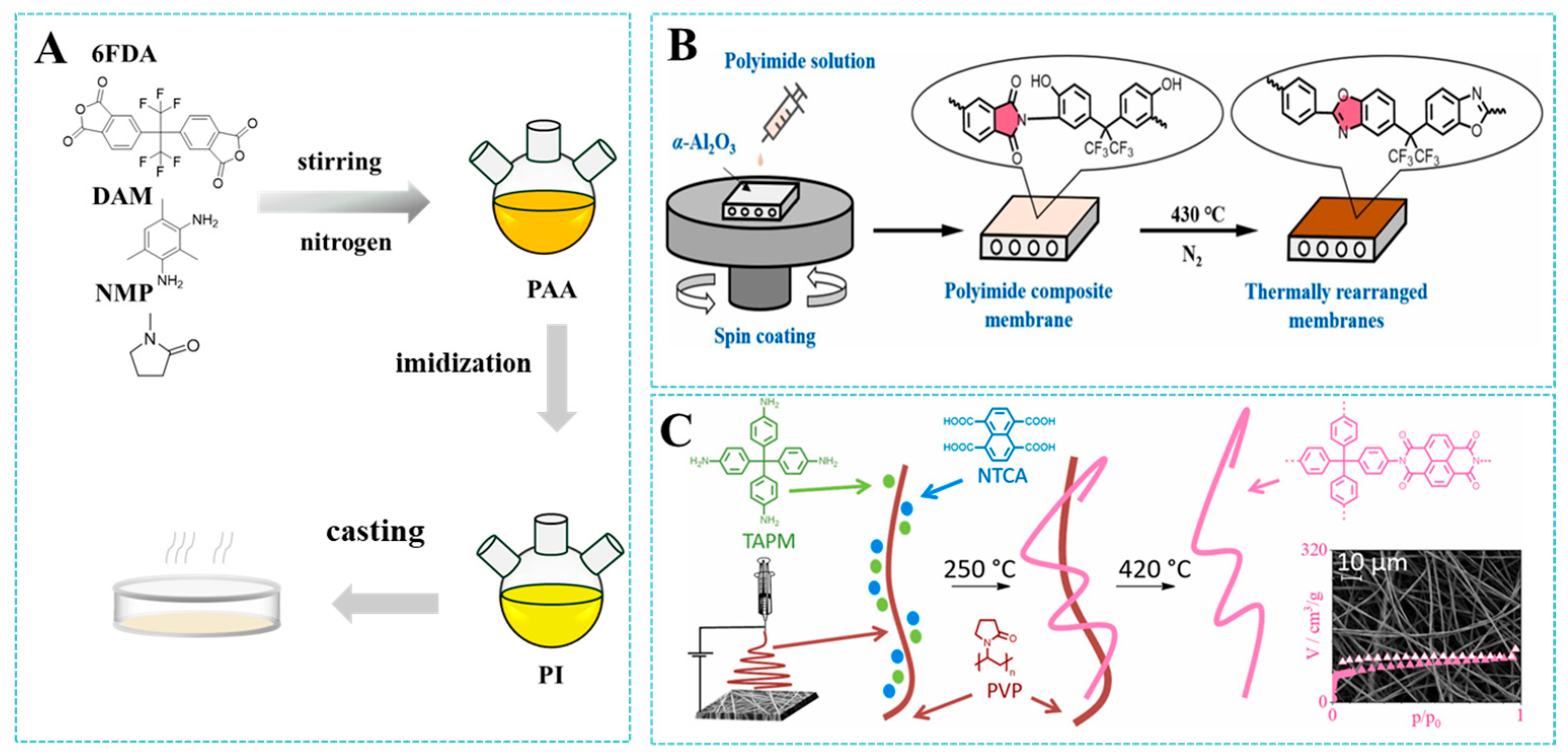 Molecules 30 03507 g004