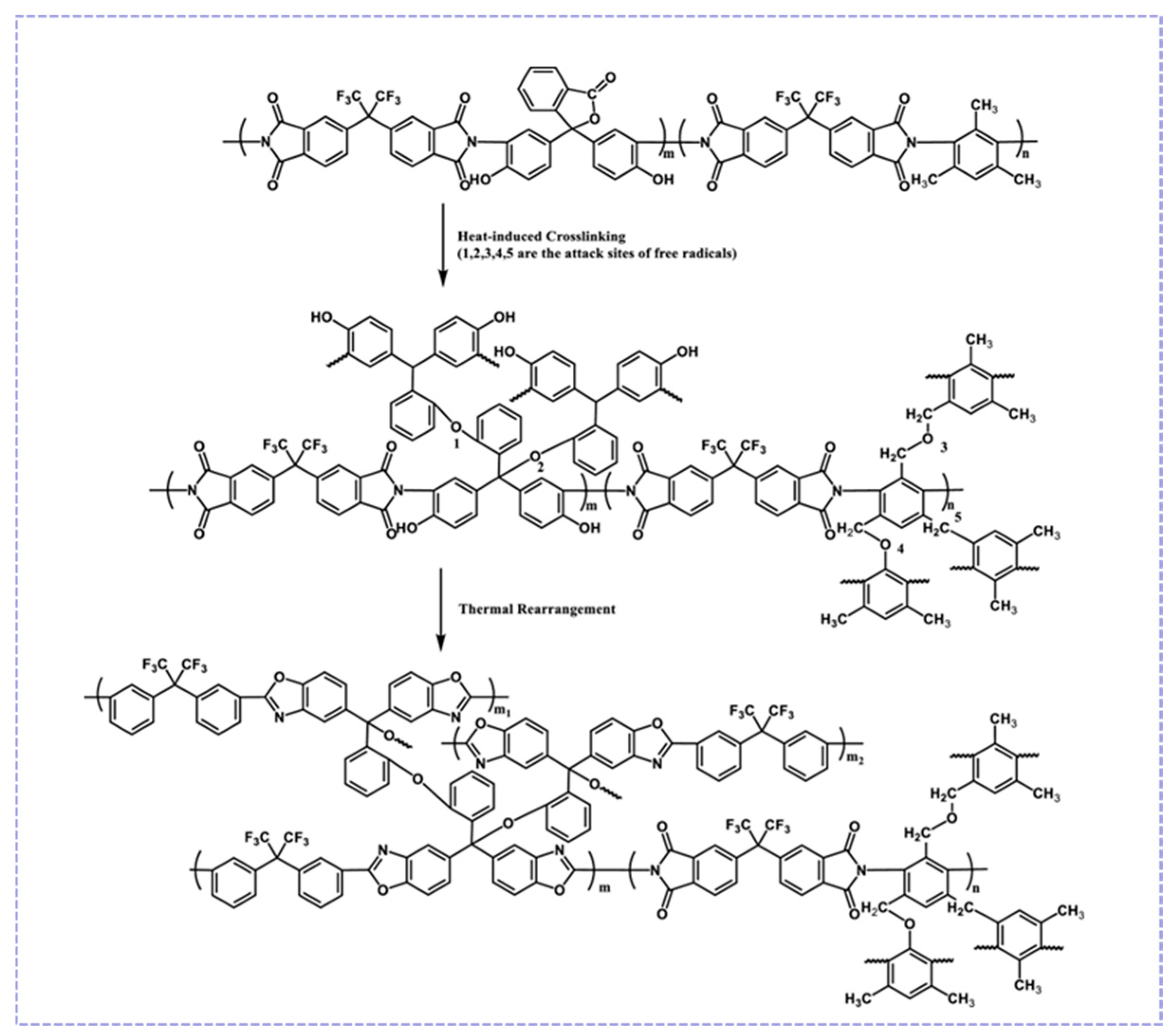 Molecules 30 03507 g006