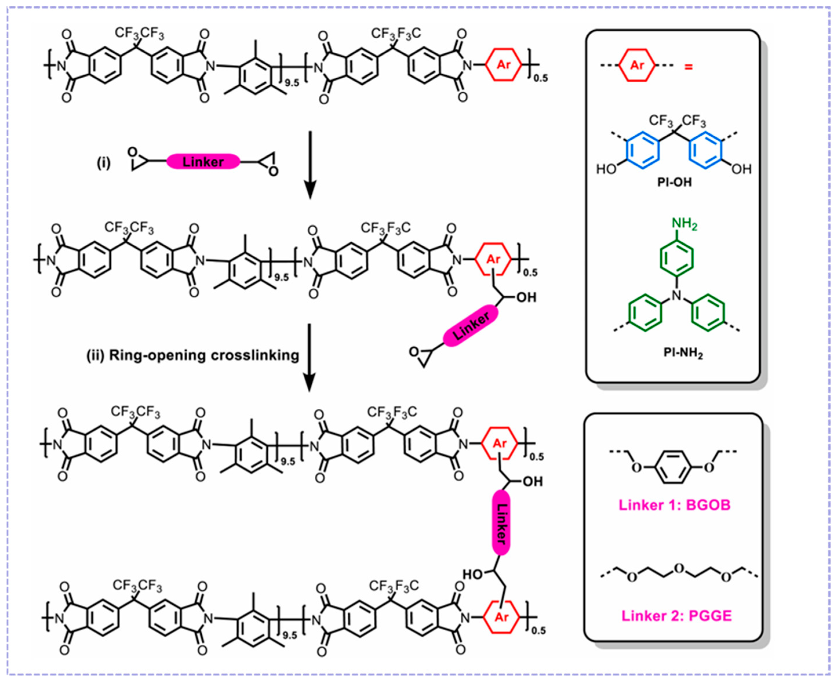 Molecules 30 03507 g007