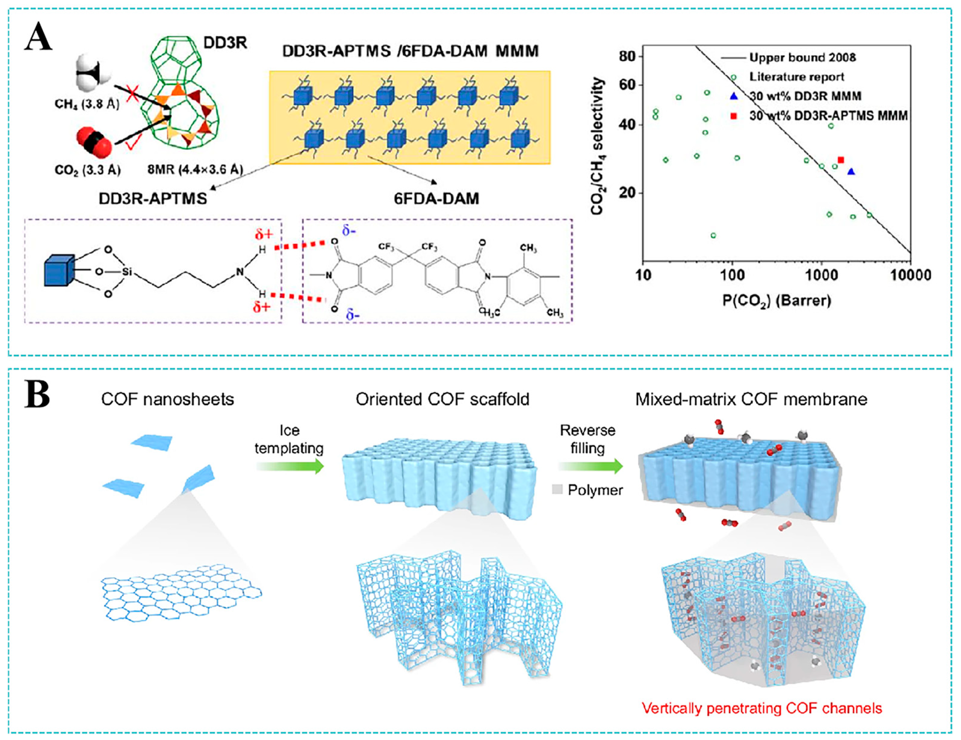 Molecules 30 03507 g009