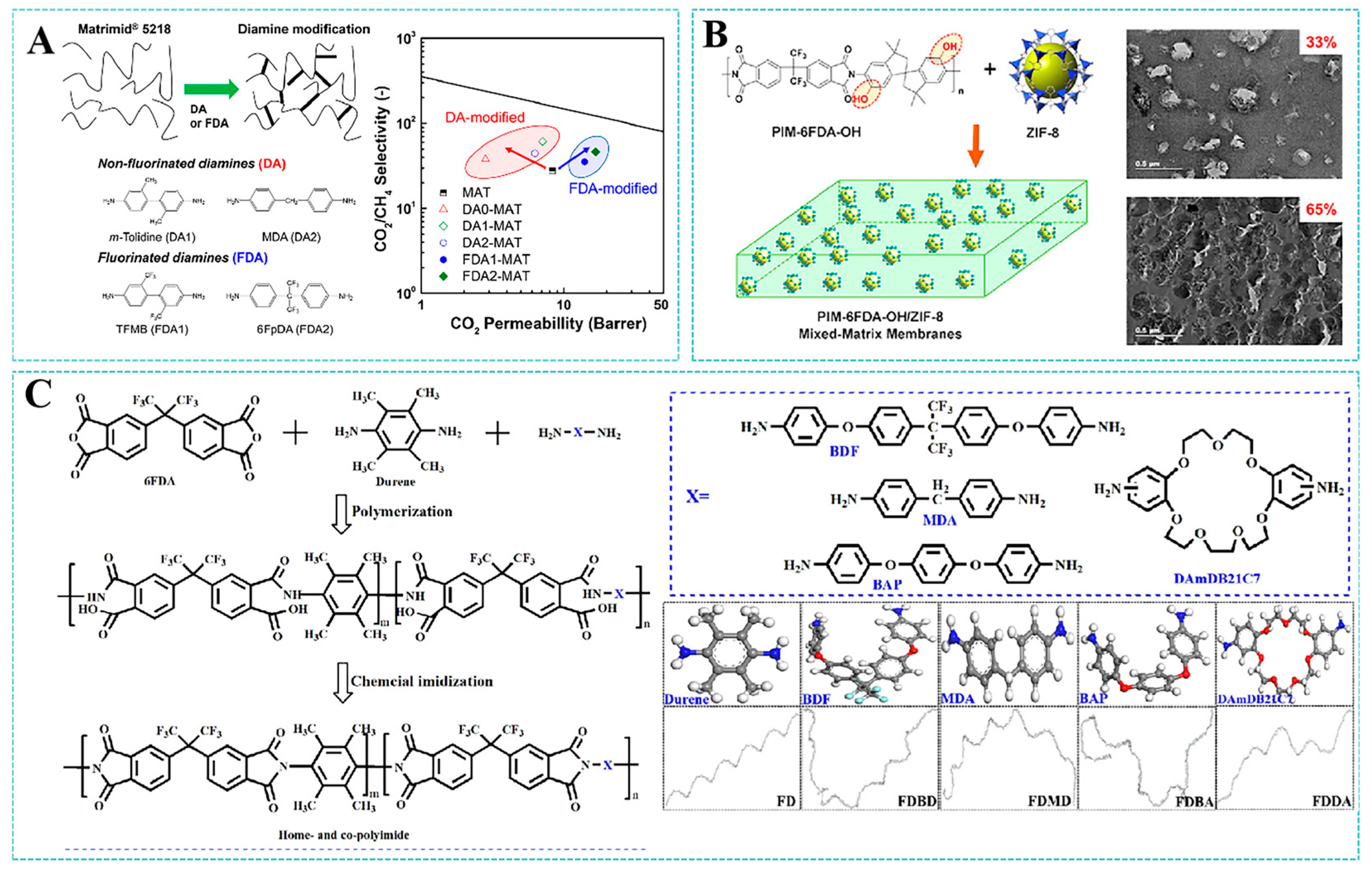 Molecules 30 03507 g010