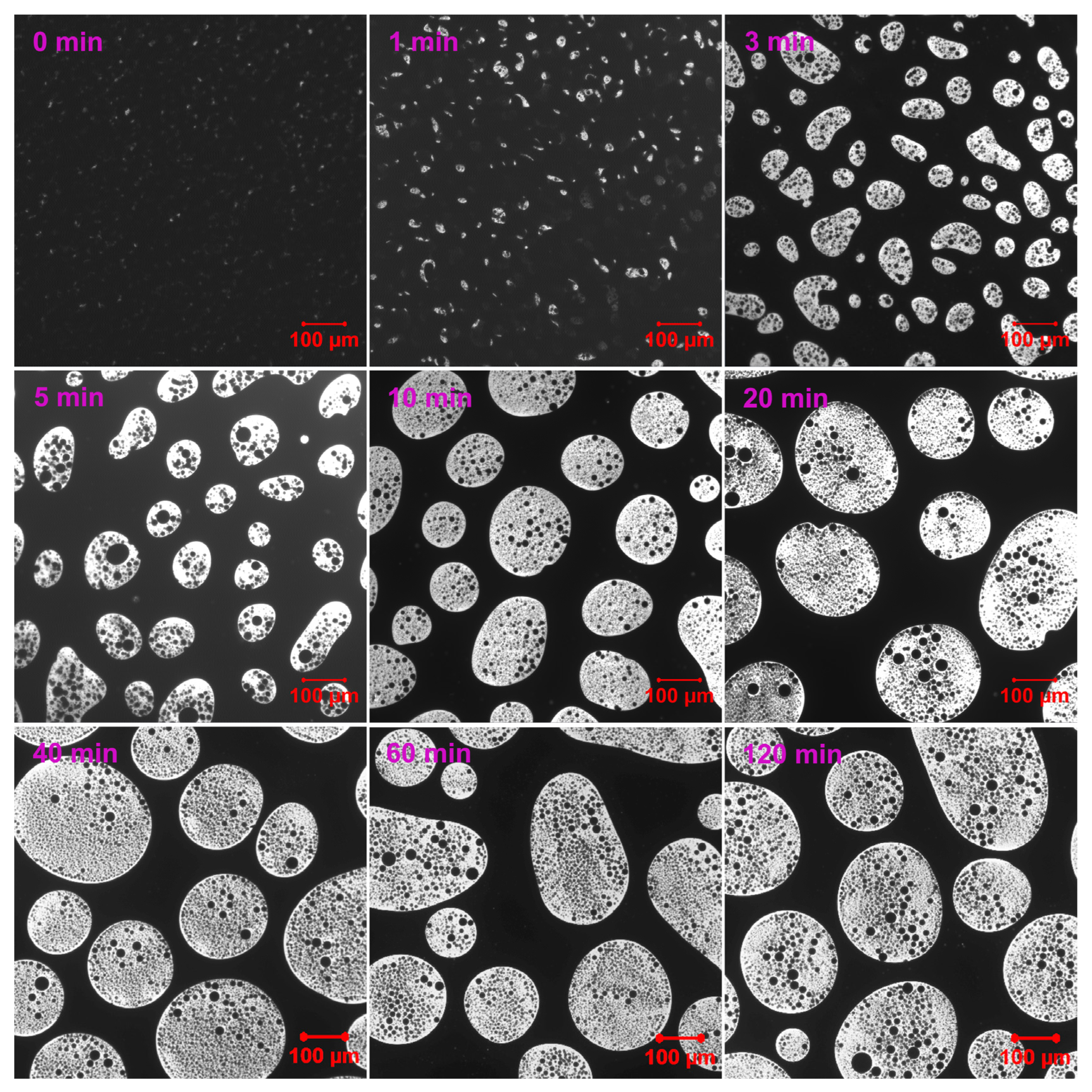 Molecules 30 03513 g003 Molecules 30 03513 g003