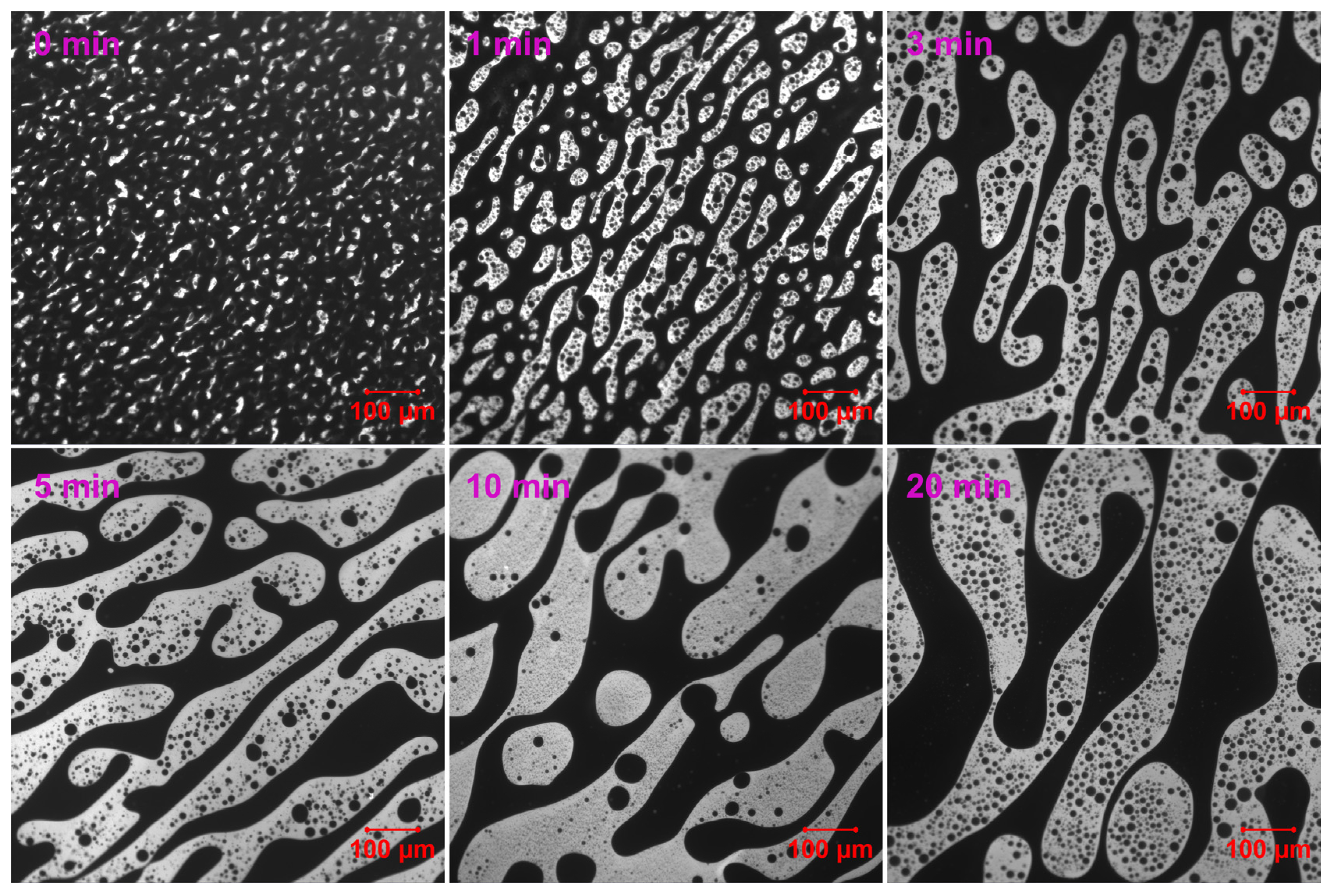 Molecules 30 03513 g006 Molecules 30 03513 g006