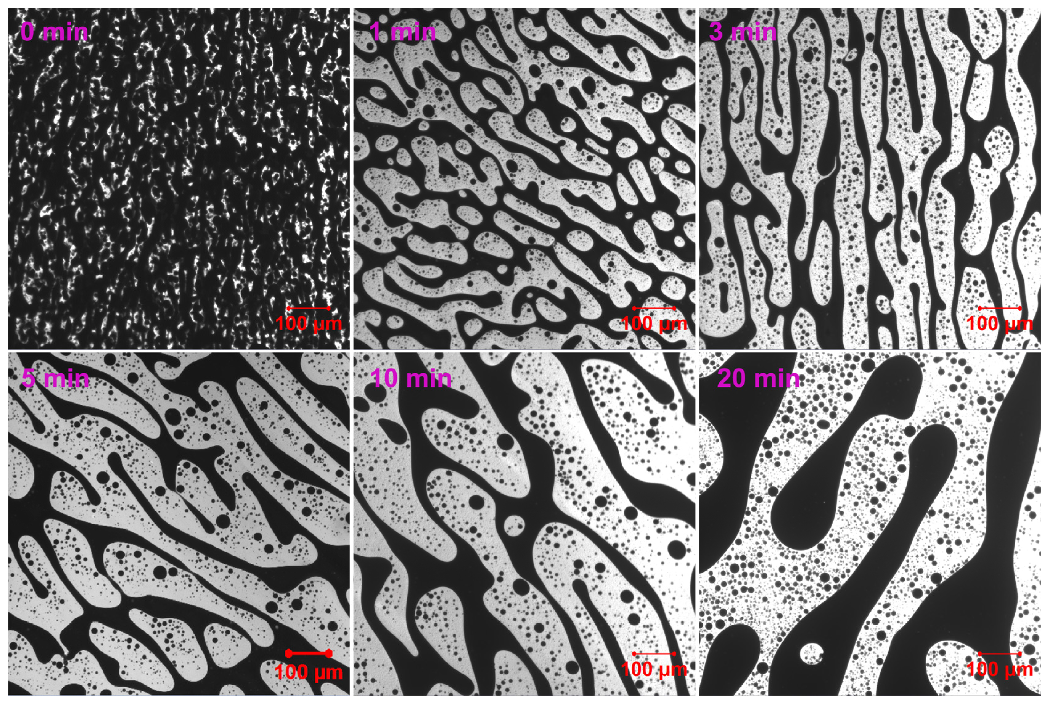 Molecules 30 03513 g007 Molecules 30 03513 g007