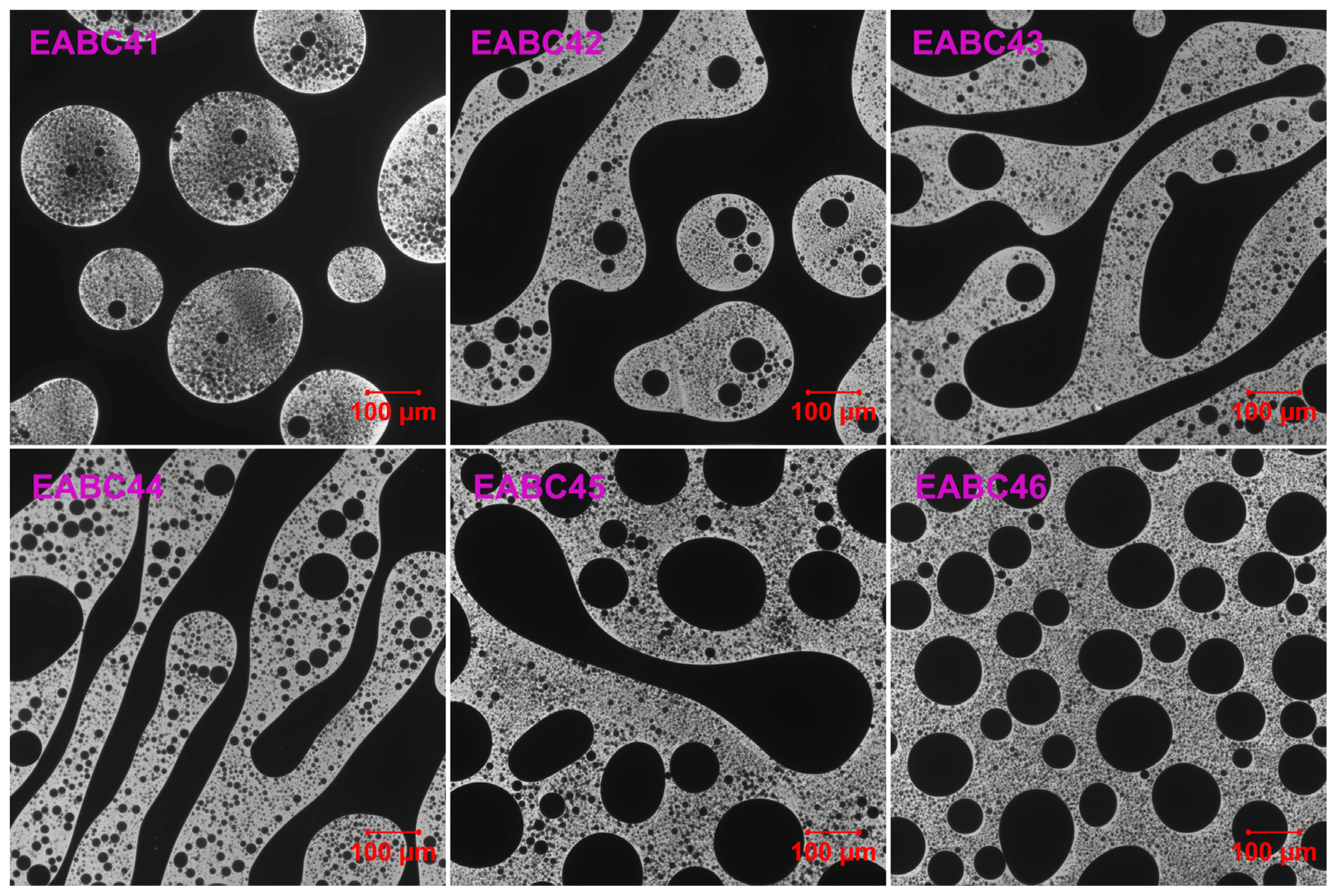 Molecules 30 03513 g012 Molecules 30 03513 g012