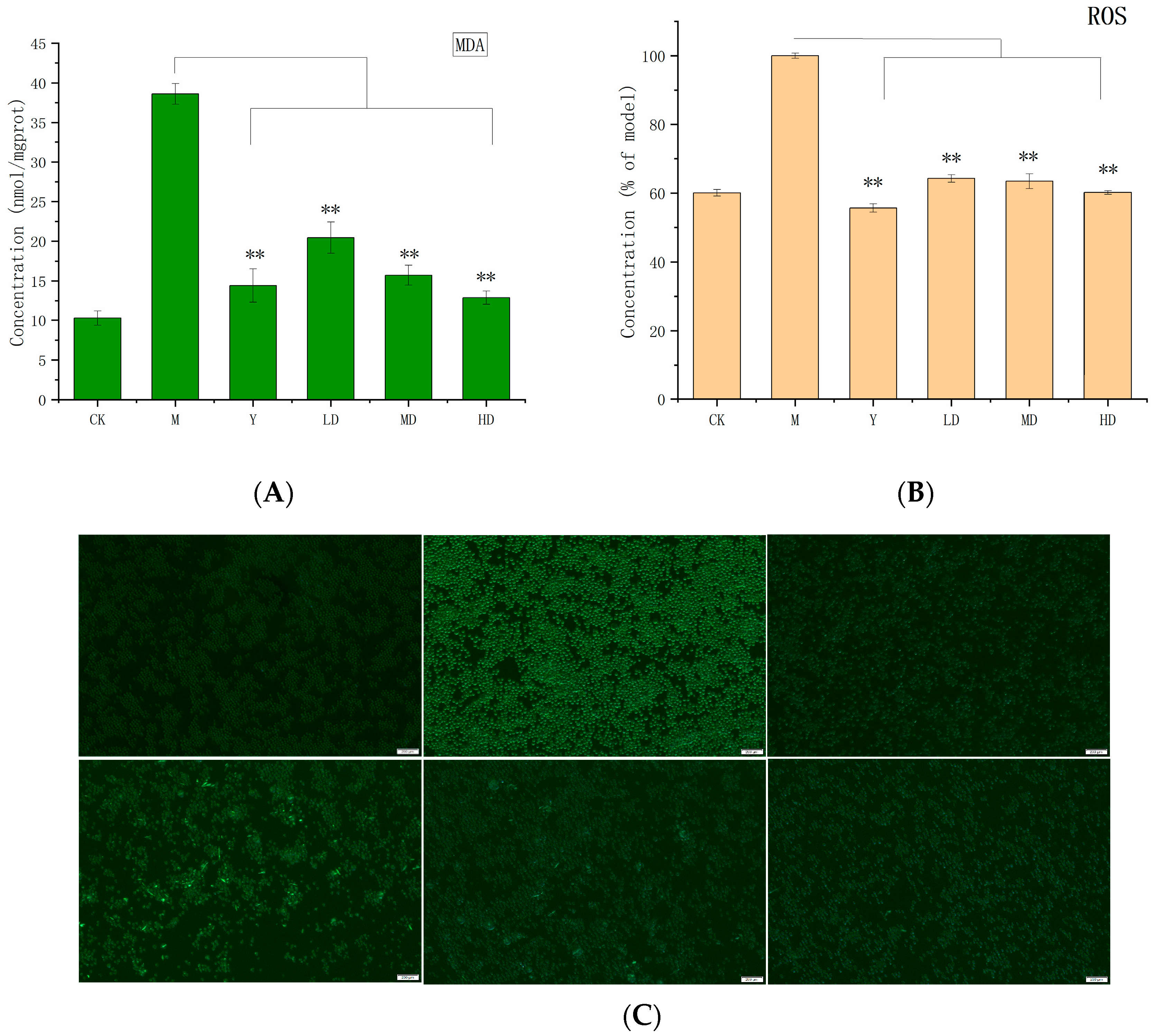 Molecules 30 03536 g005