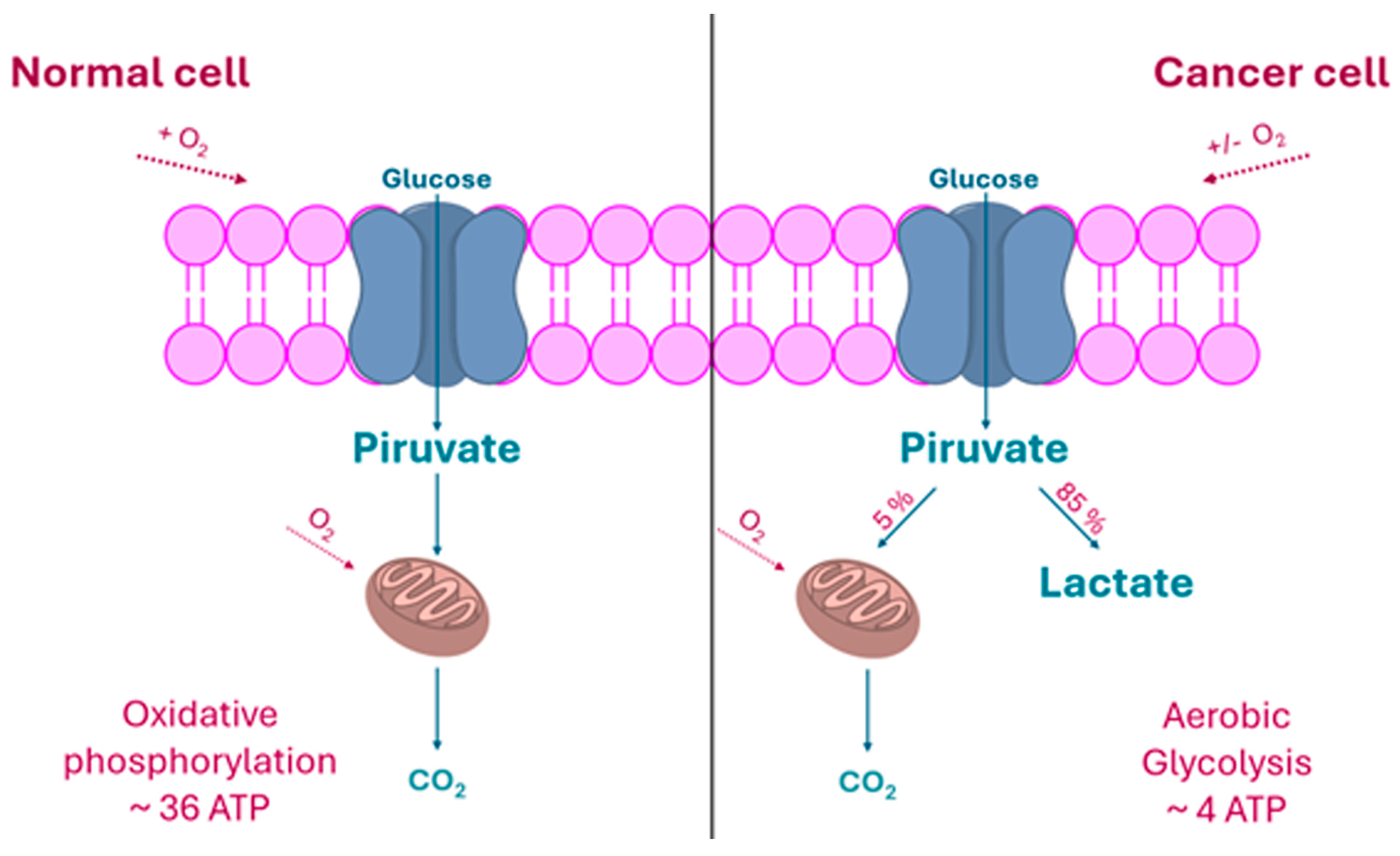 Molecules 30 03537 g002