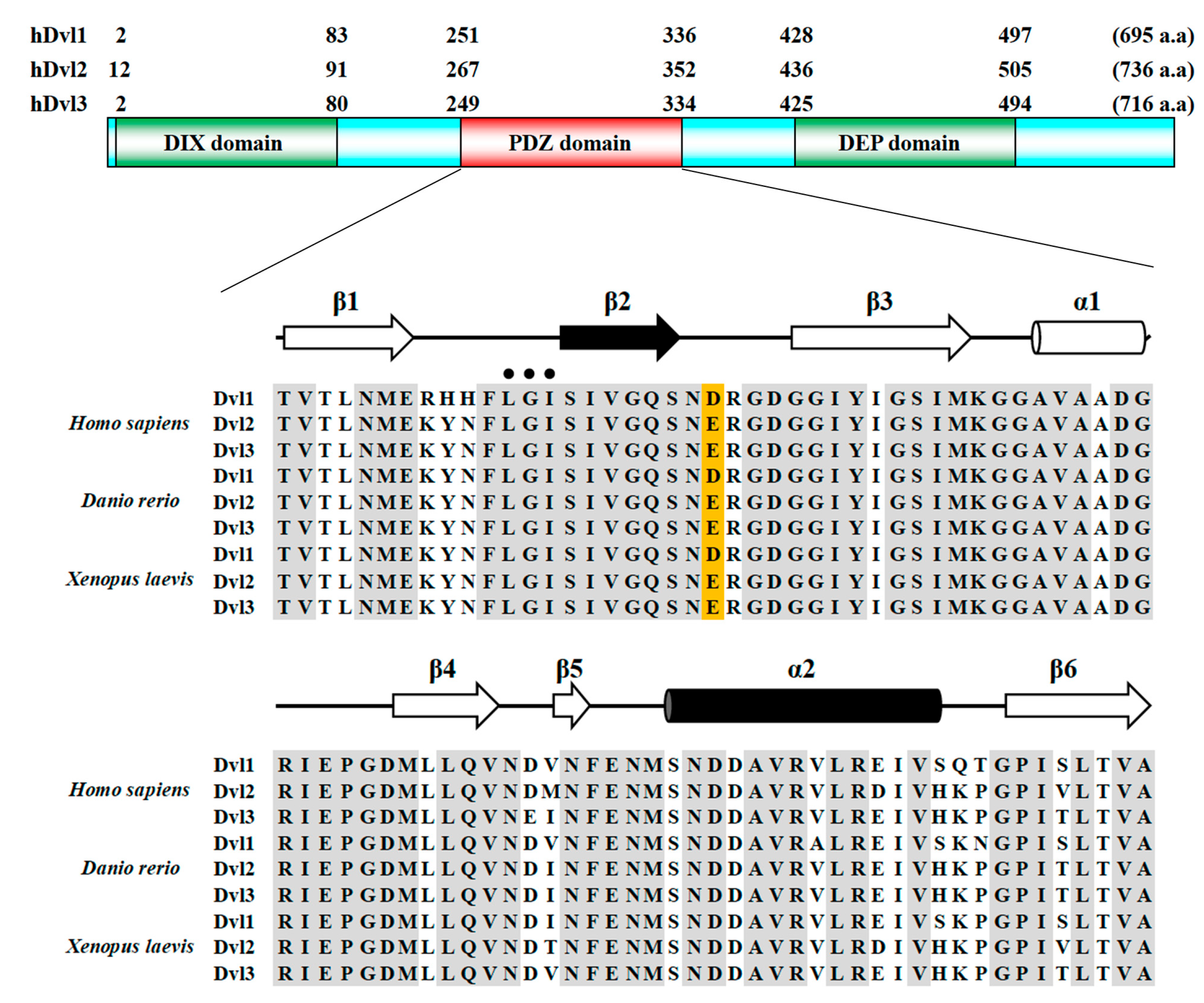 Molecules 30 03538 g001