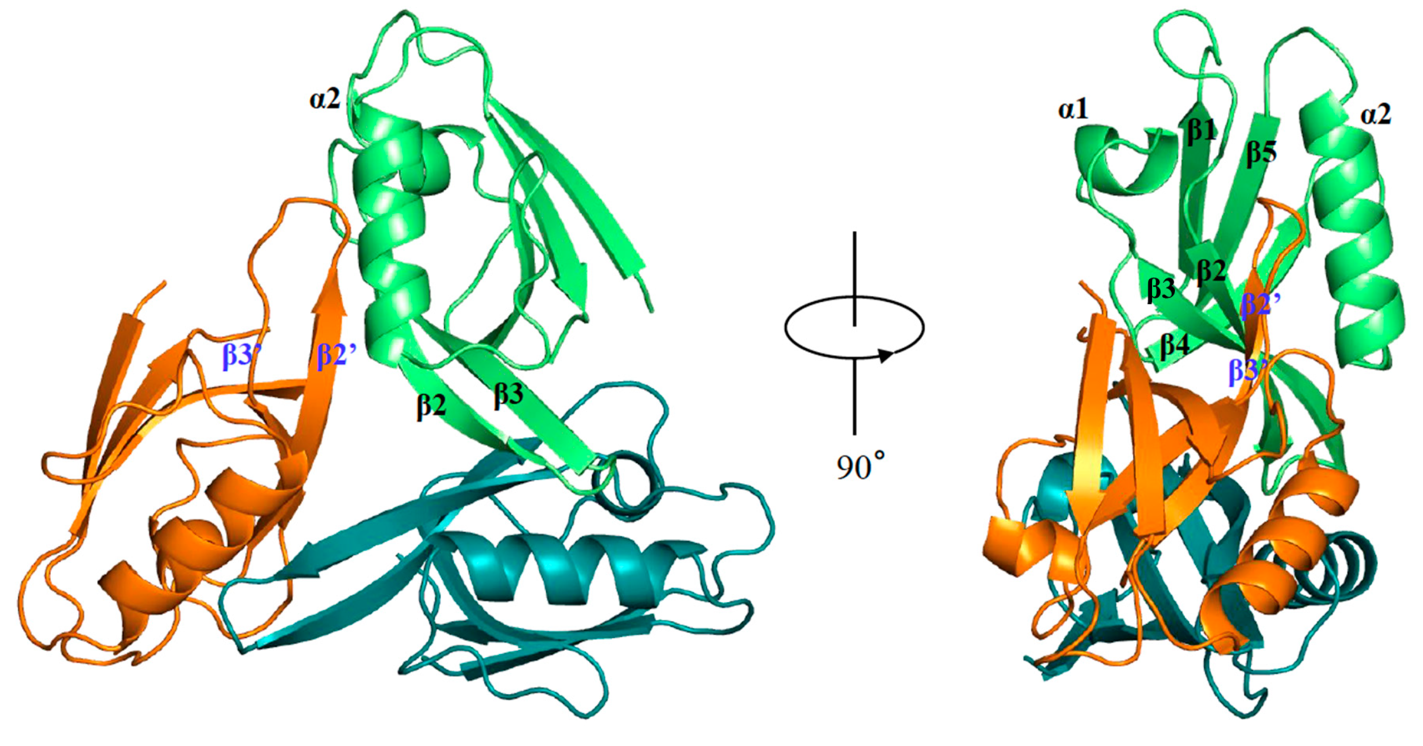 Molecules 30 03538 g002