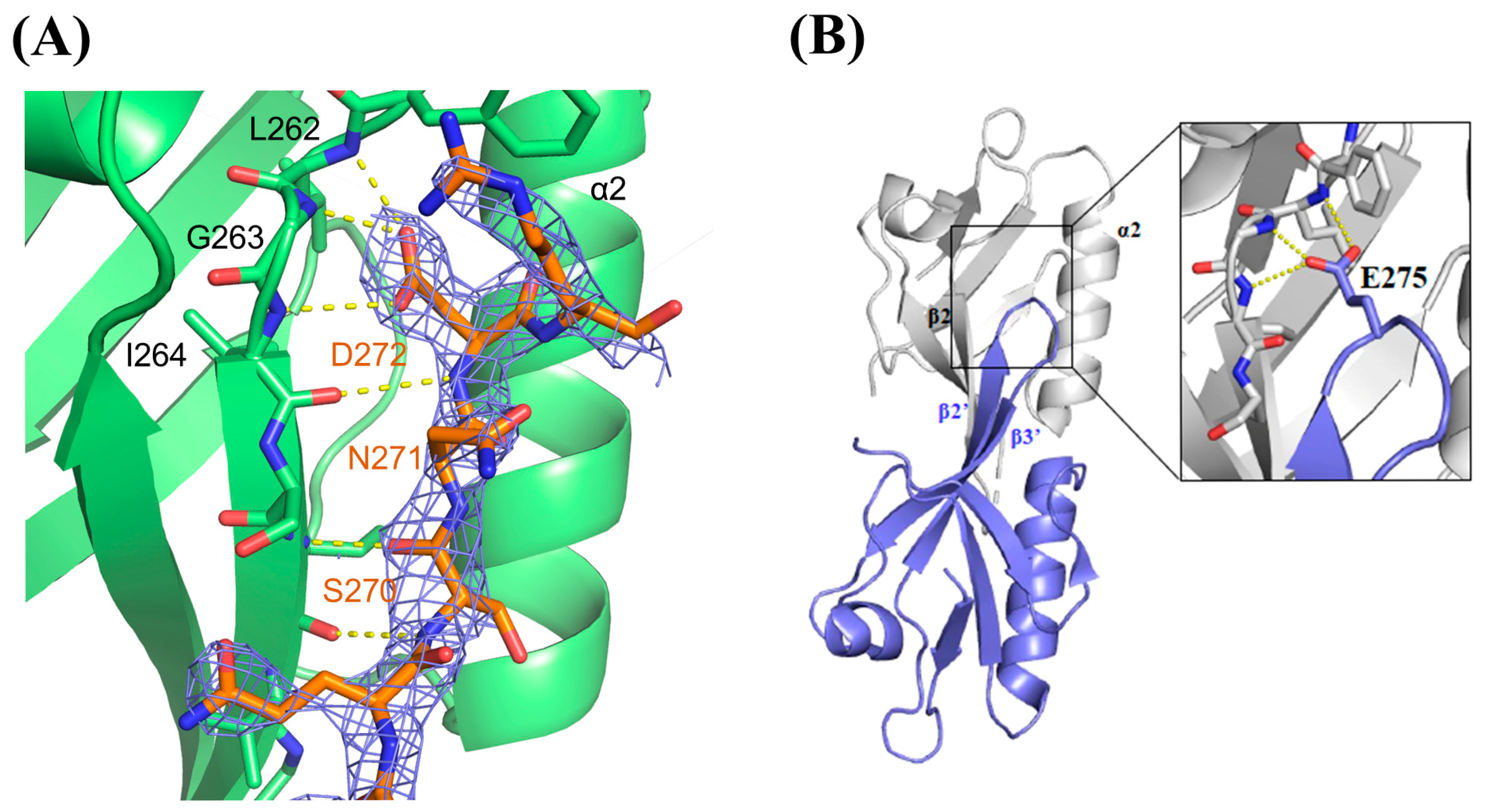 Molecules 30 03538 g003