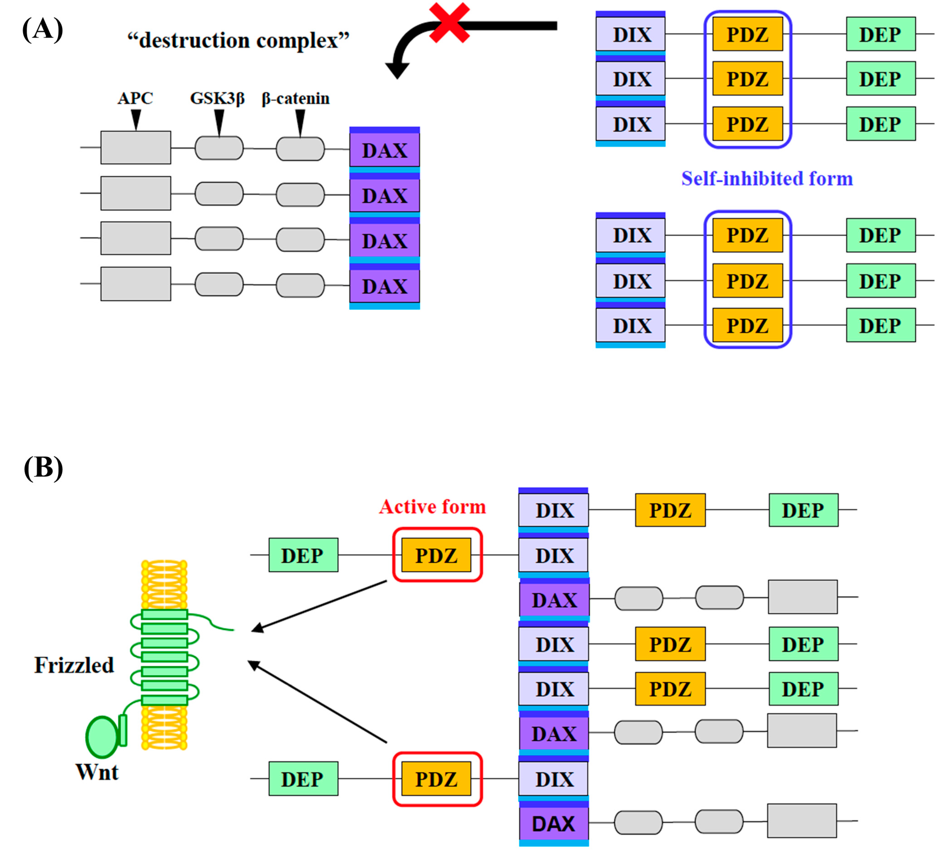 Molecules 30 03538 g005
