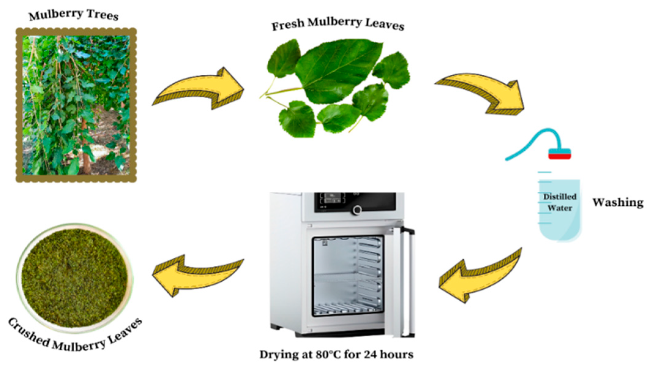 Molecules 30 03539 g001 Molecules 30 03539 g001