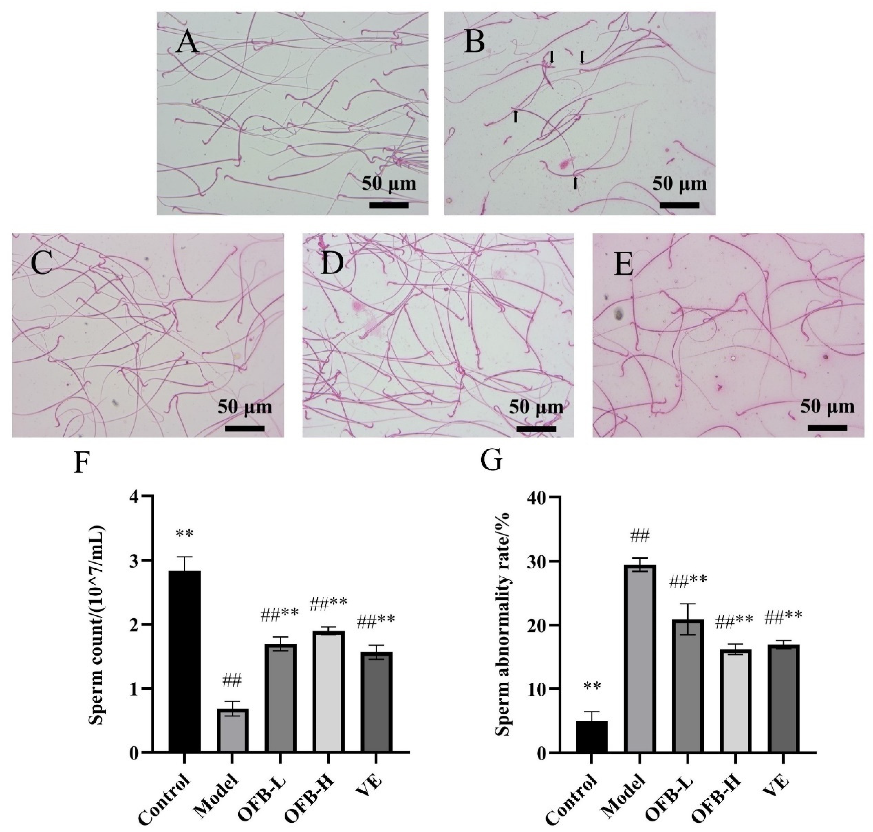 Molecules 30 03550 g002 Molecules 30 03550 g002