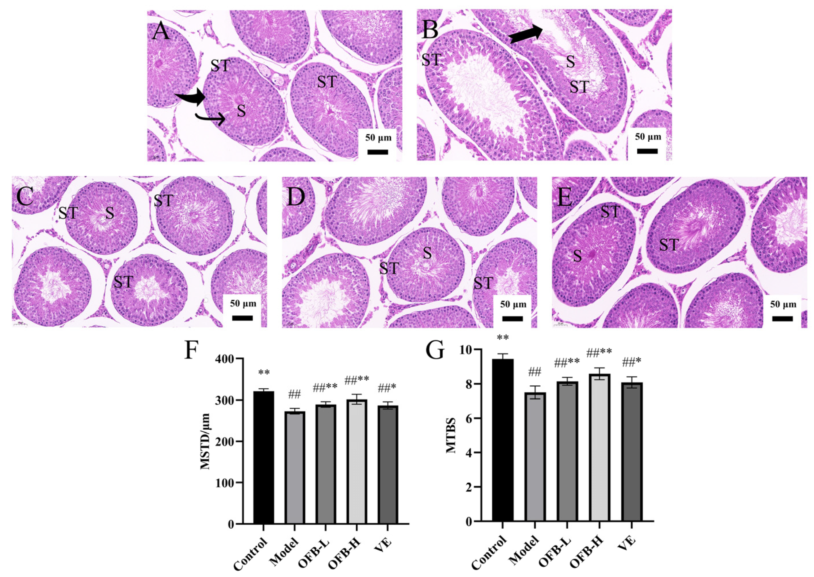 Molecules 30 03550 g004 Molecules 30 03550 g004
