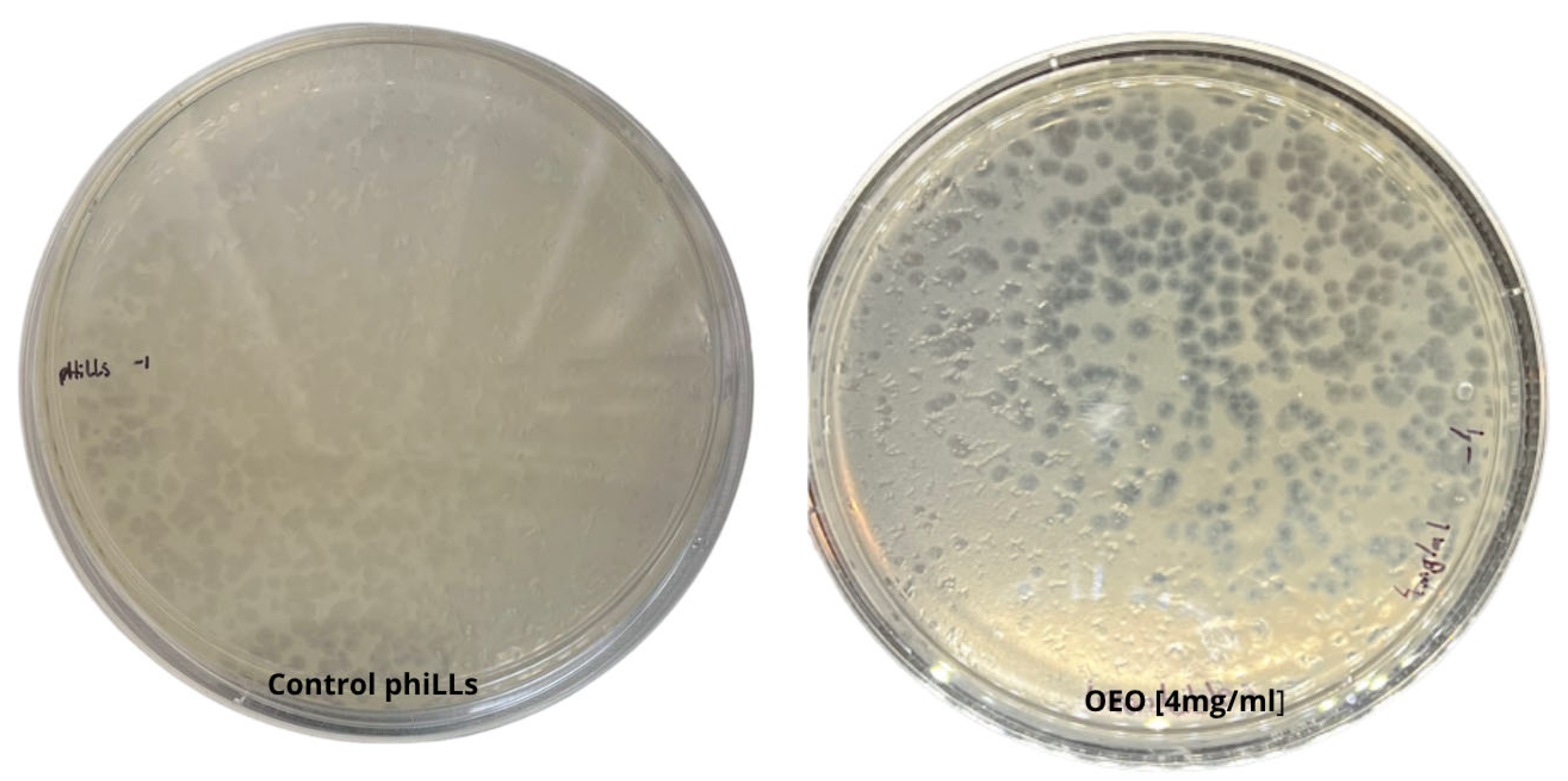 Molecules 30 03552 g001