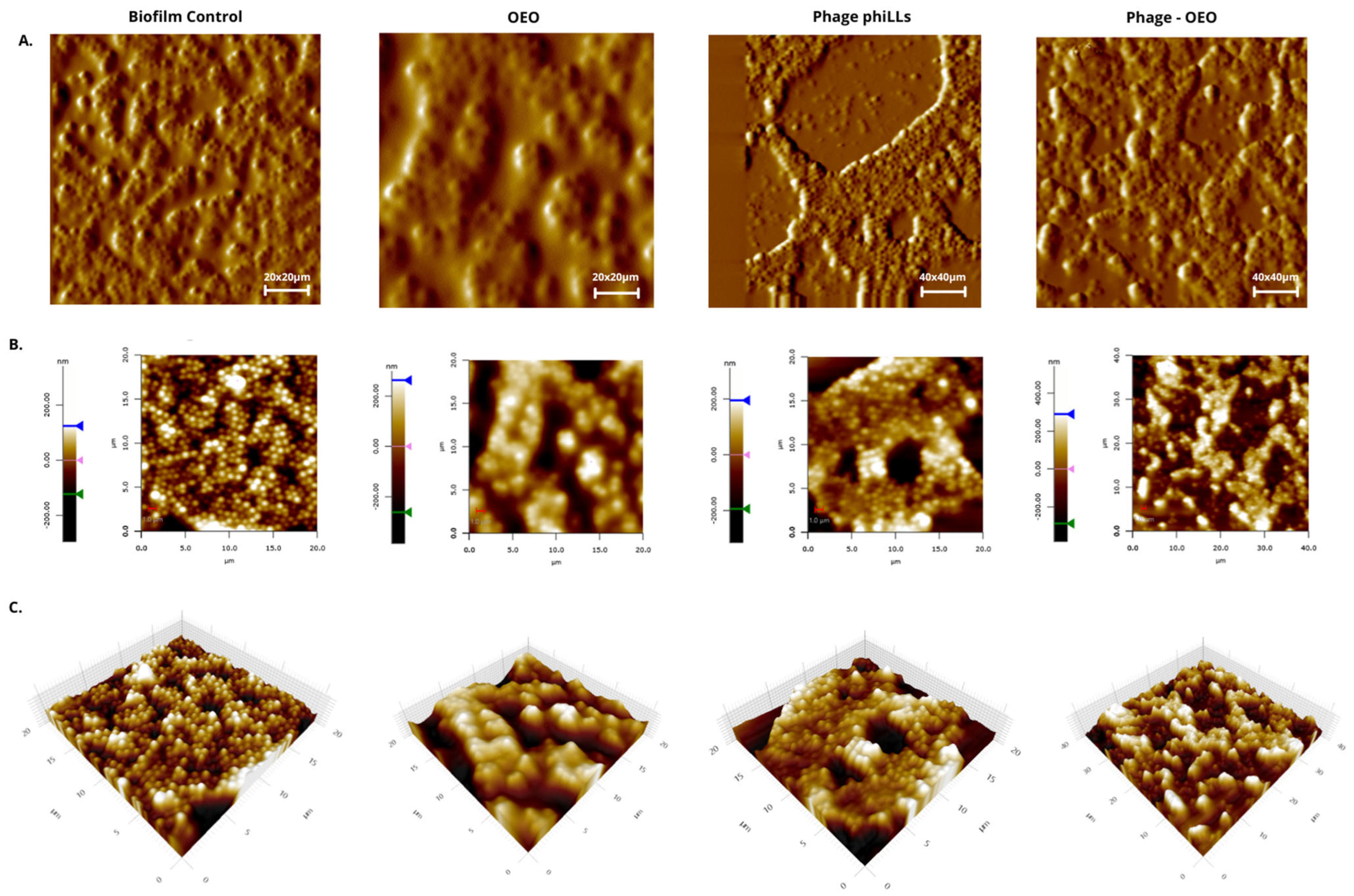 Molecules 30 03552 g005