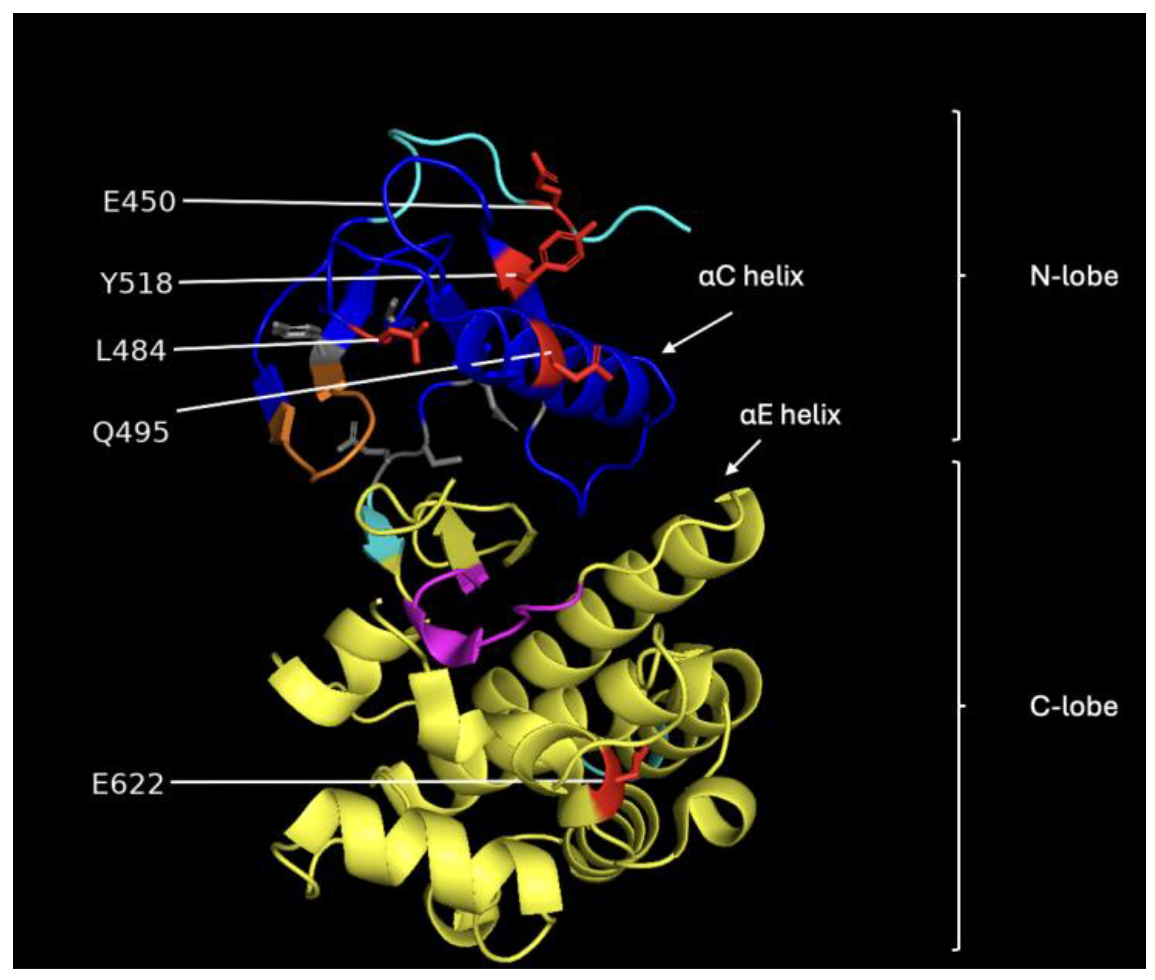 Molecules 30 03556 g005
