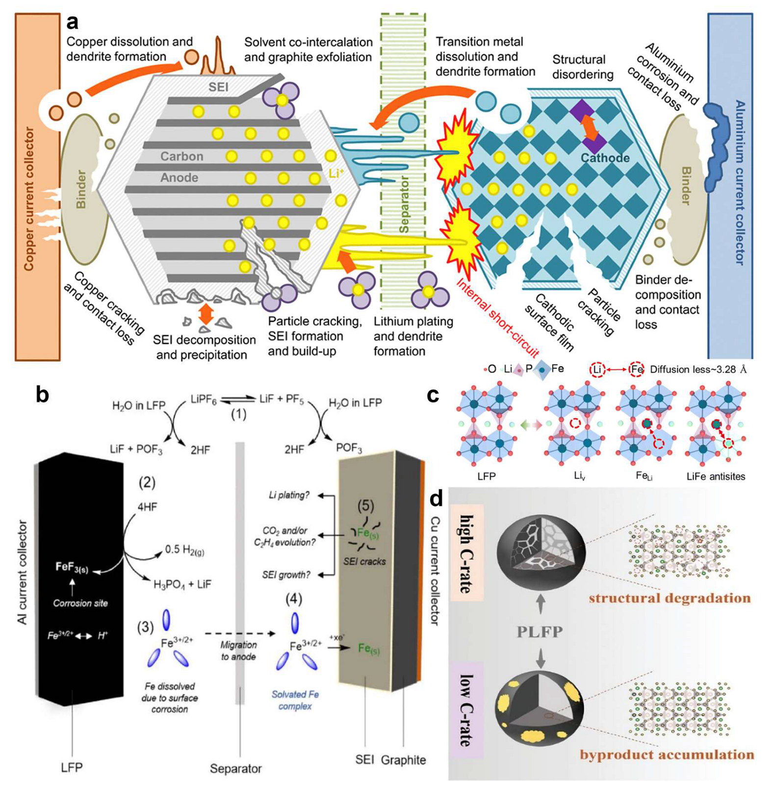 Molecules 30 03557 g001 Molecules 30 03557 g001