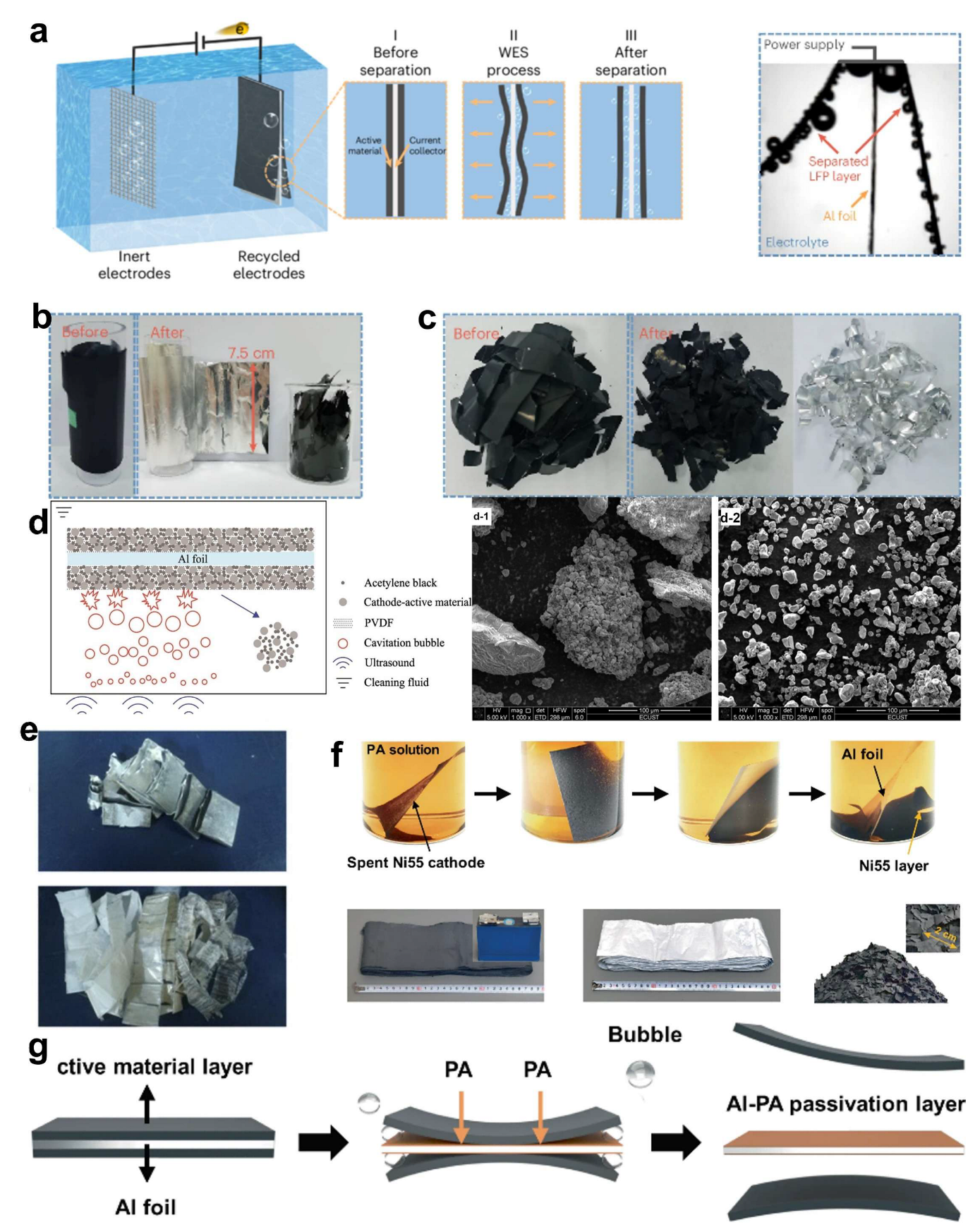 Molecules 30 03557 g002 Molecules 30 03557 g002