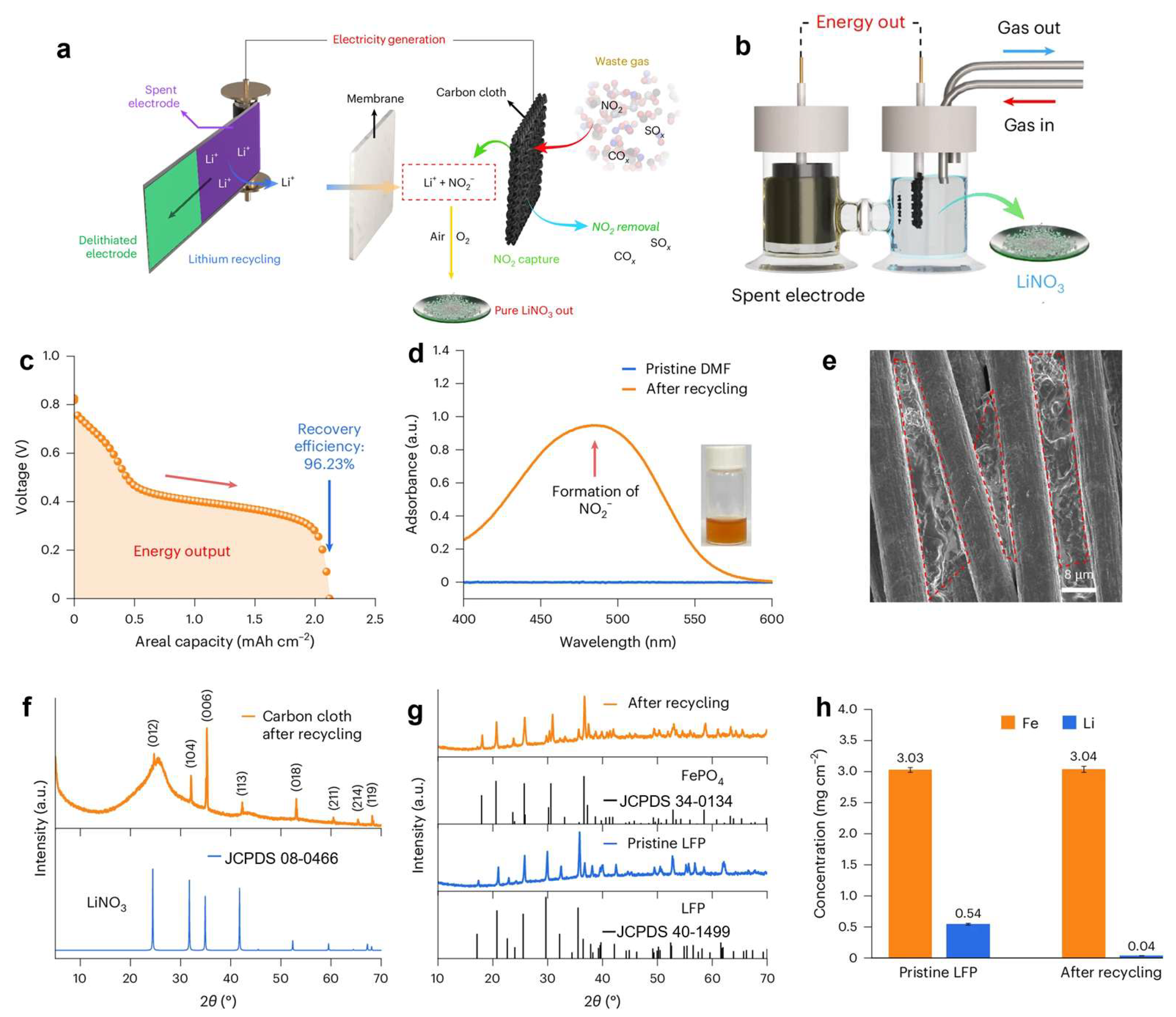 Molecules 30 03557 g007 Molecules 30 03557 g007