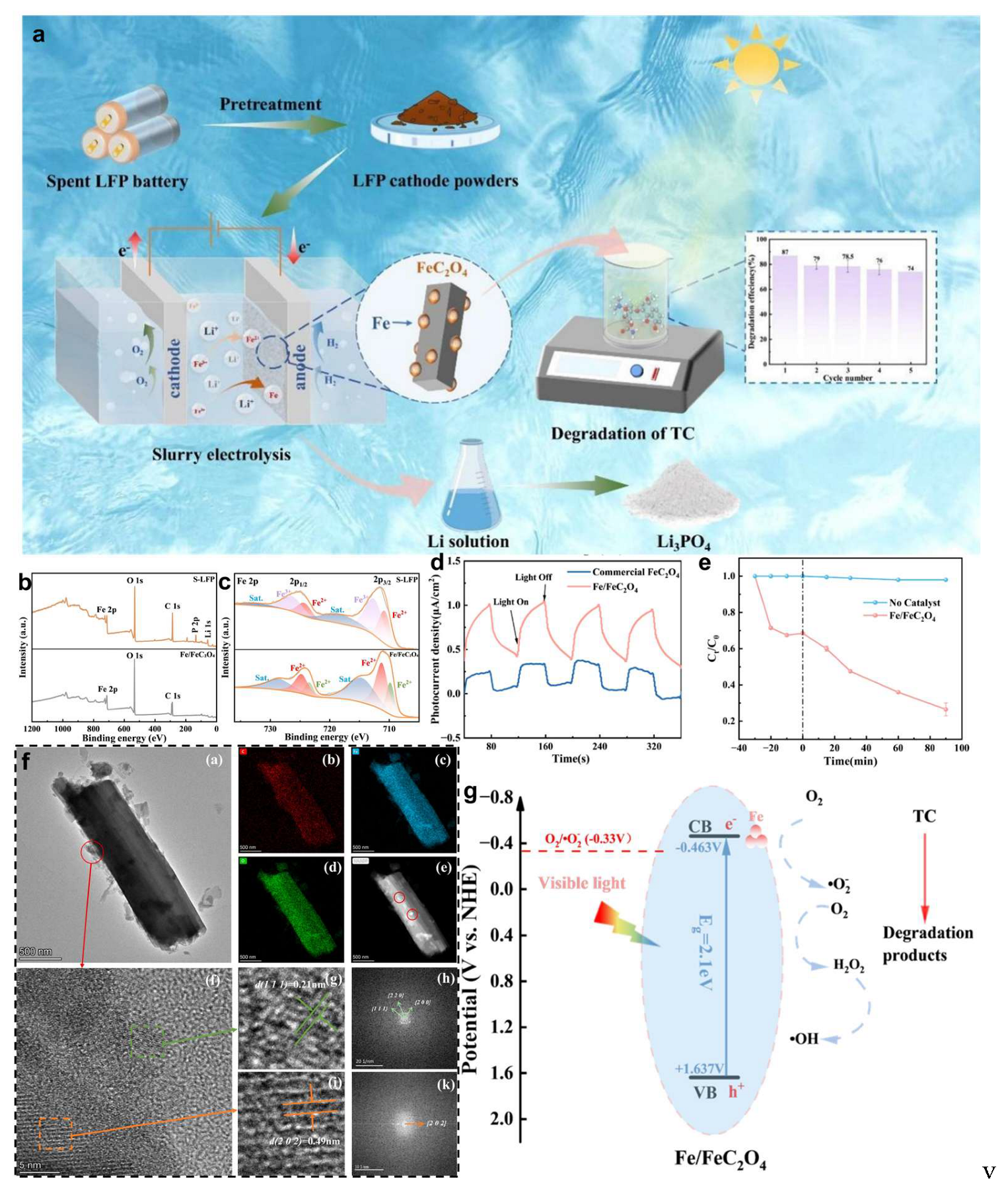 Molecules 30 03557 g008 Molecules 30 03557 g008