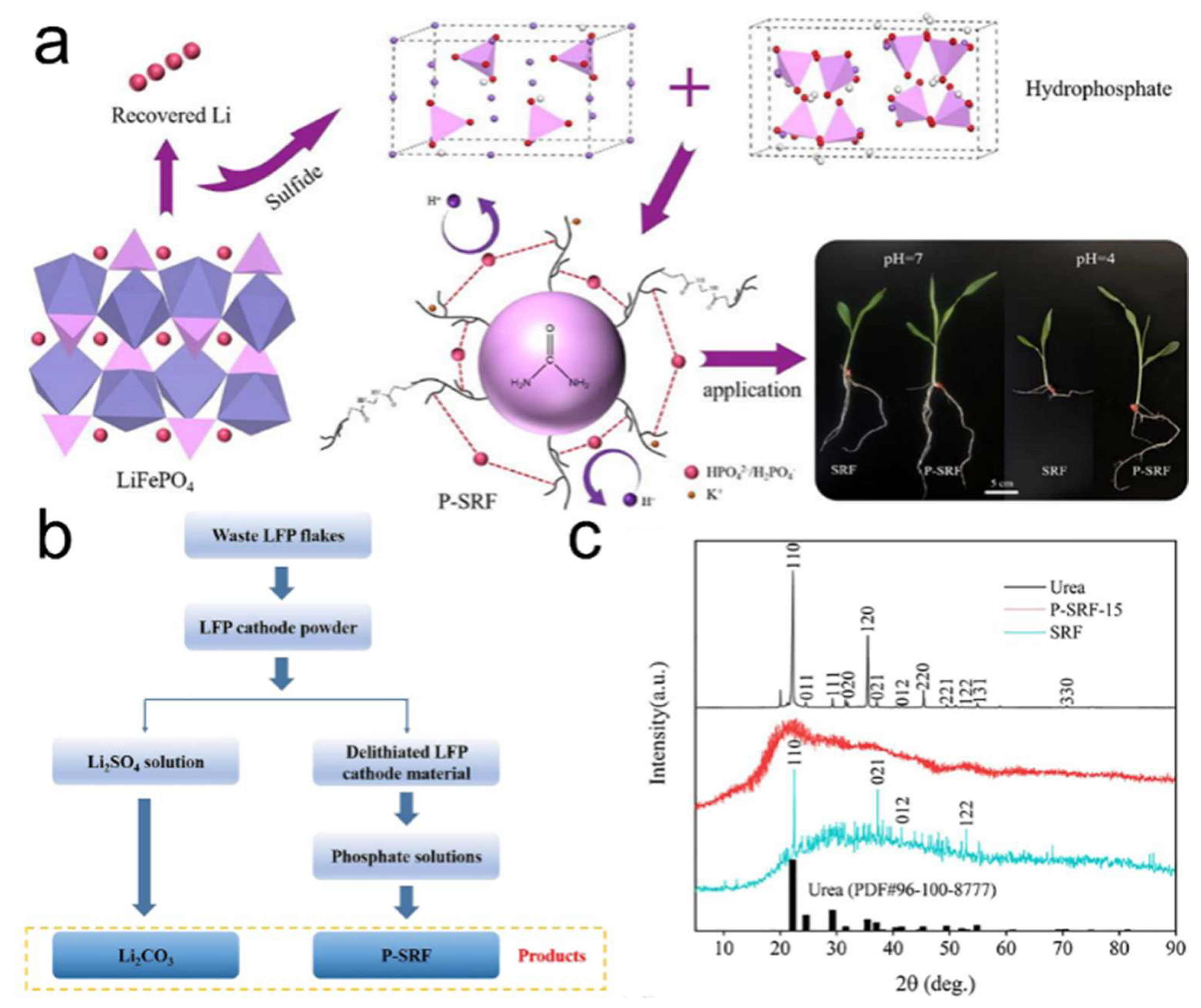 Molecules 30 03557 g011 Molecules 30 03557 g011