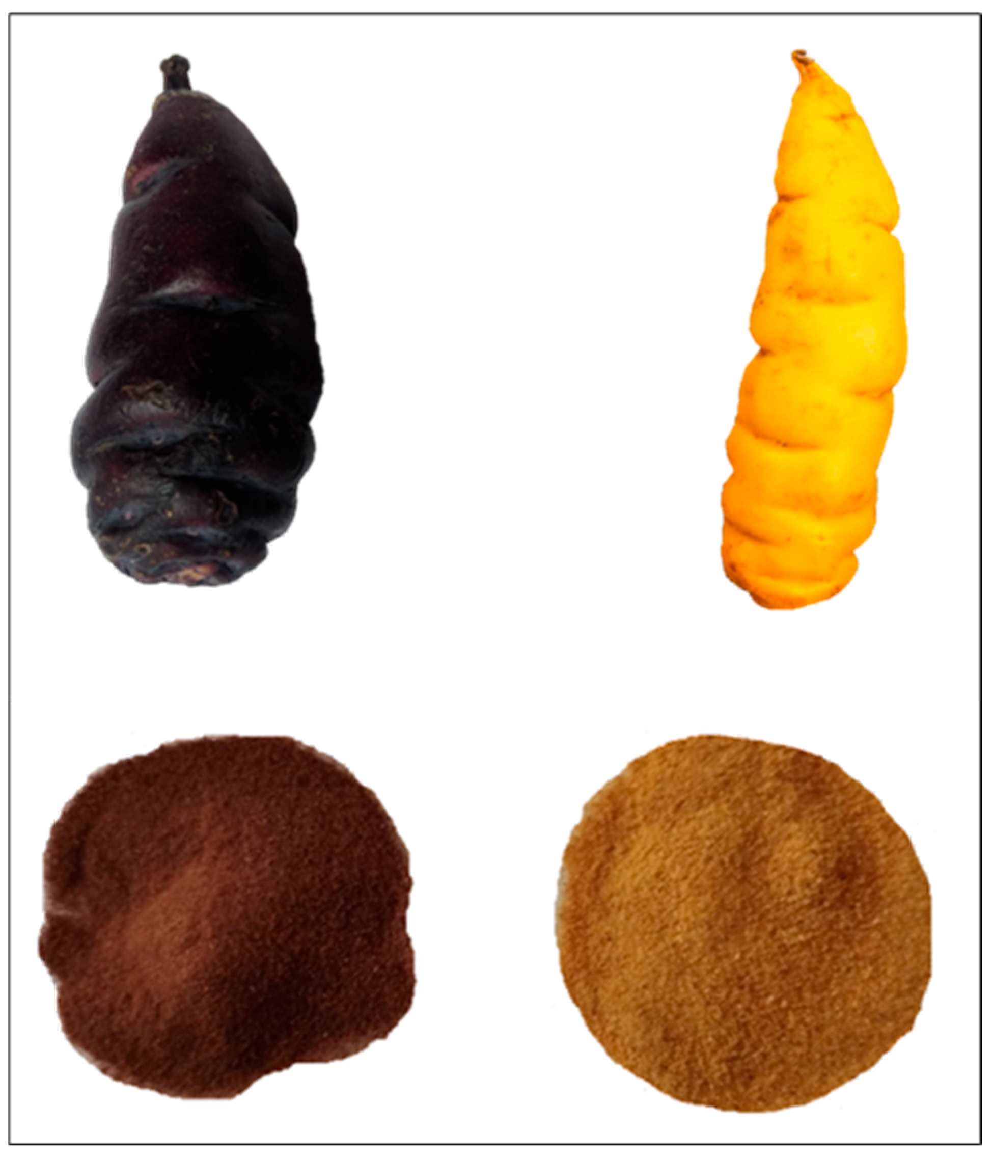 Molecules 30 03560 g004 Molecules 30 03560 g004