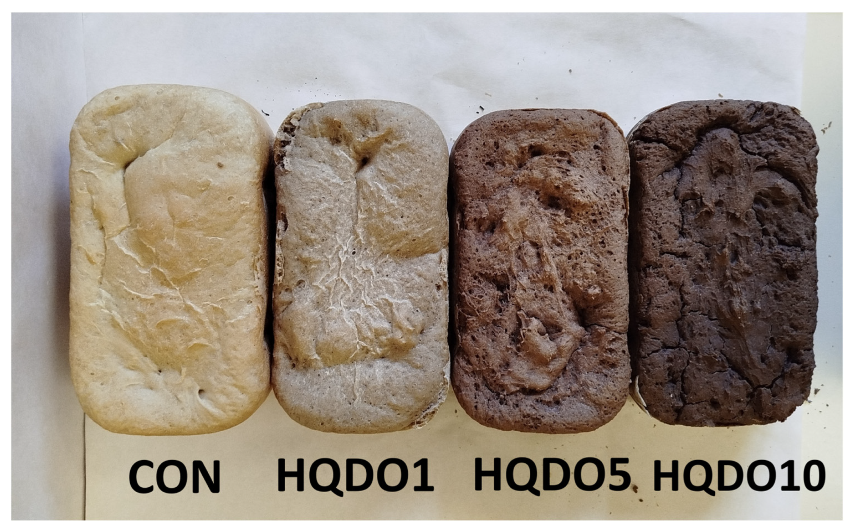 Molecules 30 03564 g001 Molecules 30 03564 g001