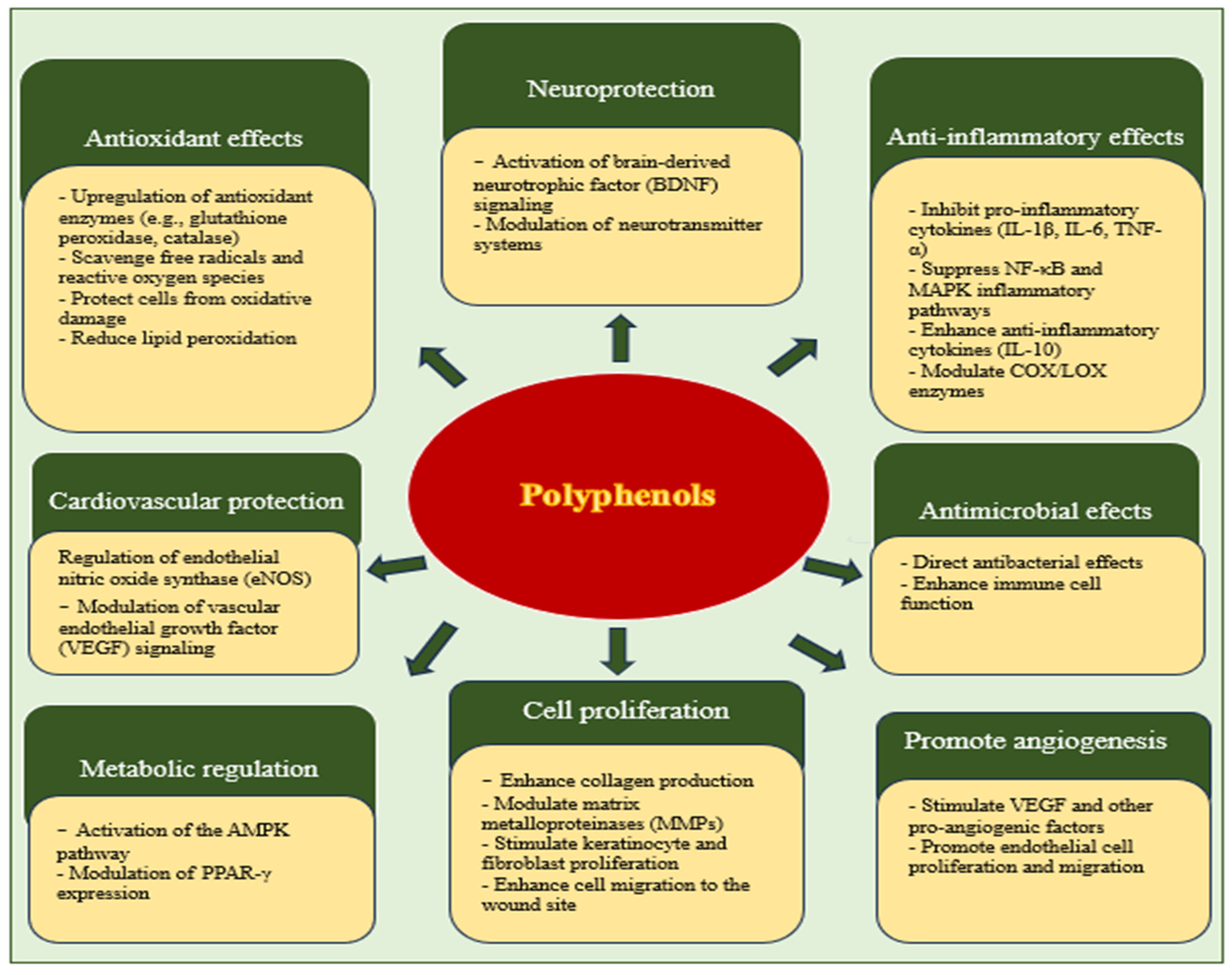 Molecules 30 03568 g002 Molecules 30 03568 g002