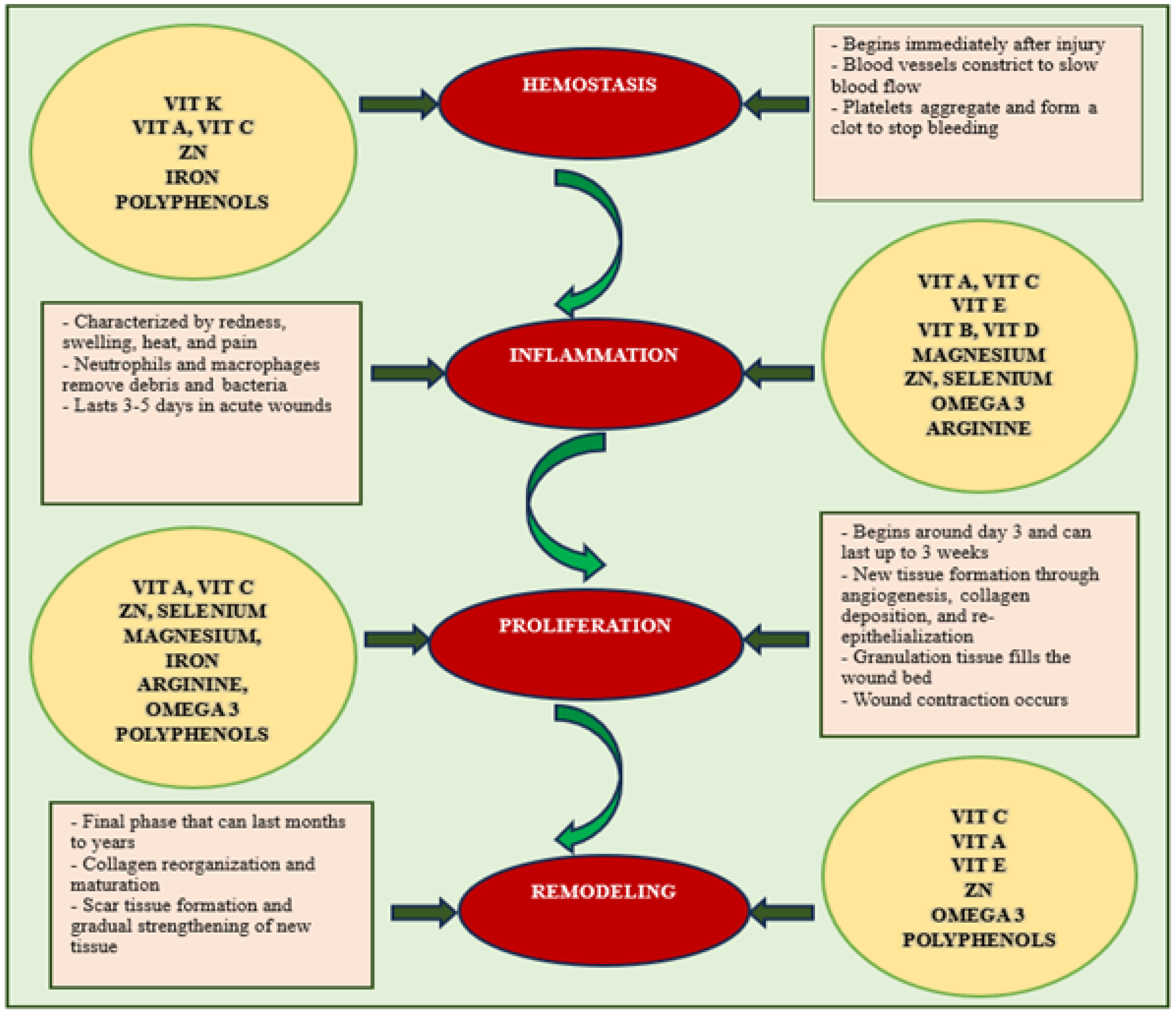 Molecules 30 03568 g003 Molecules 30 03568 g003