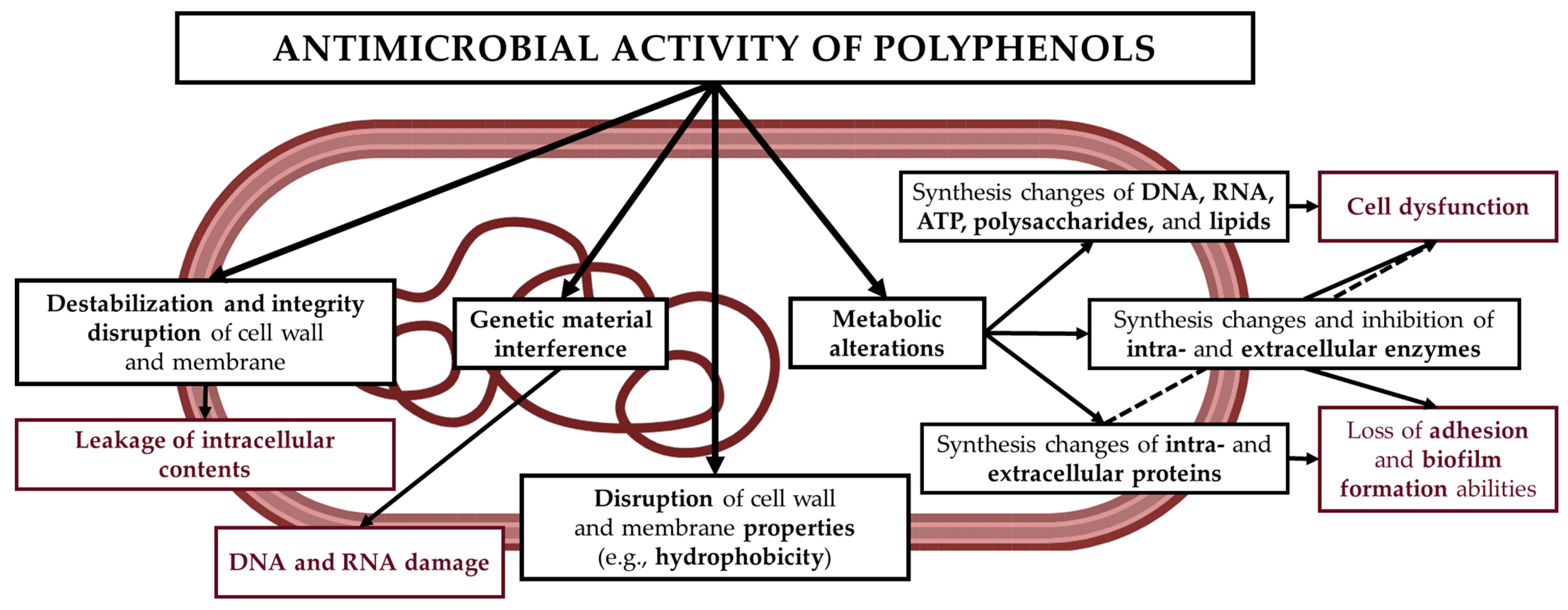 Molecules 30 03569 g003